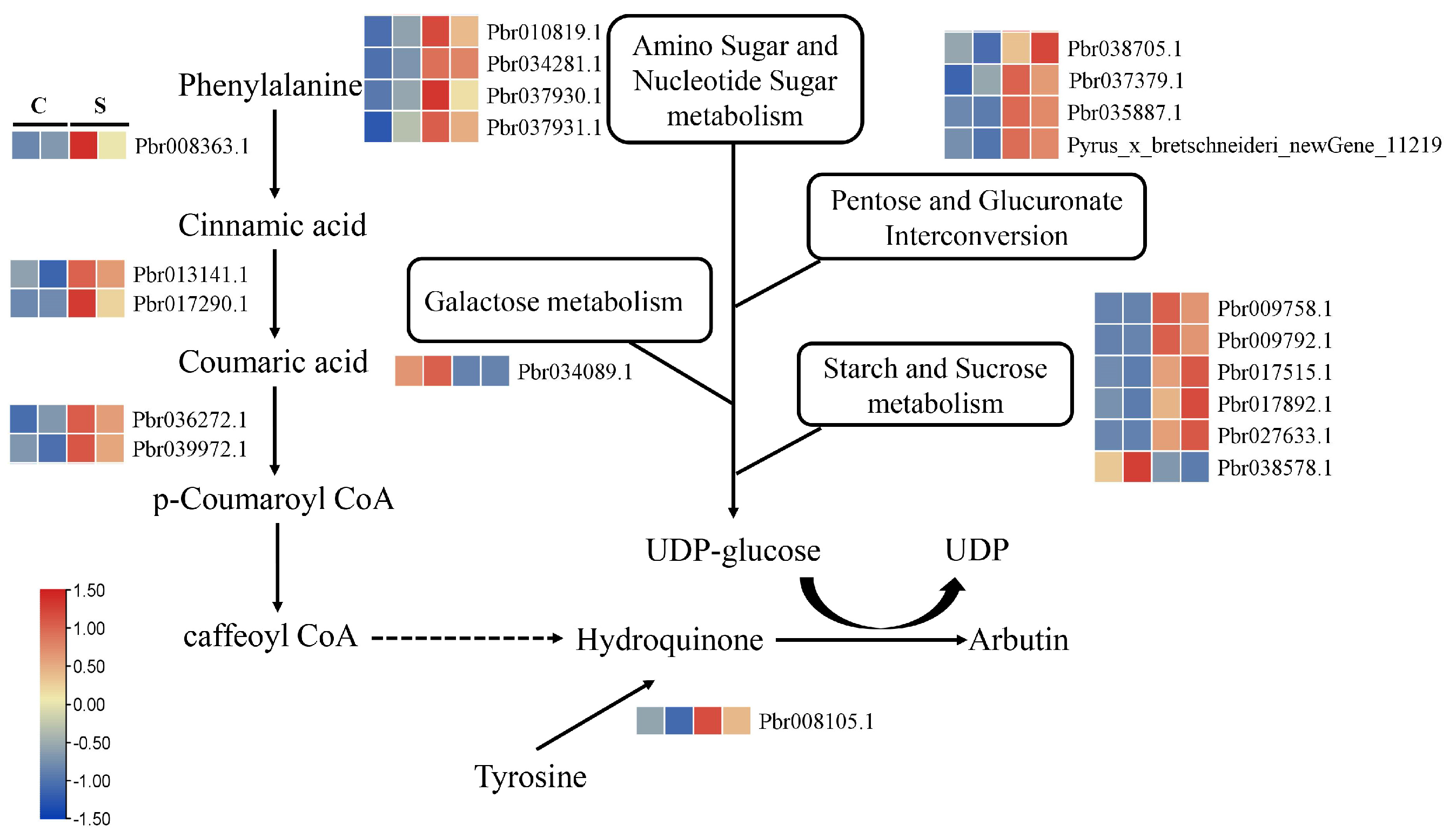 Horticulturae 10 00622 g006