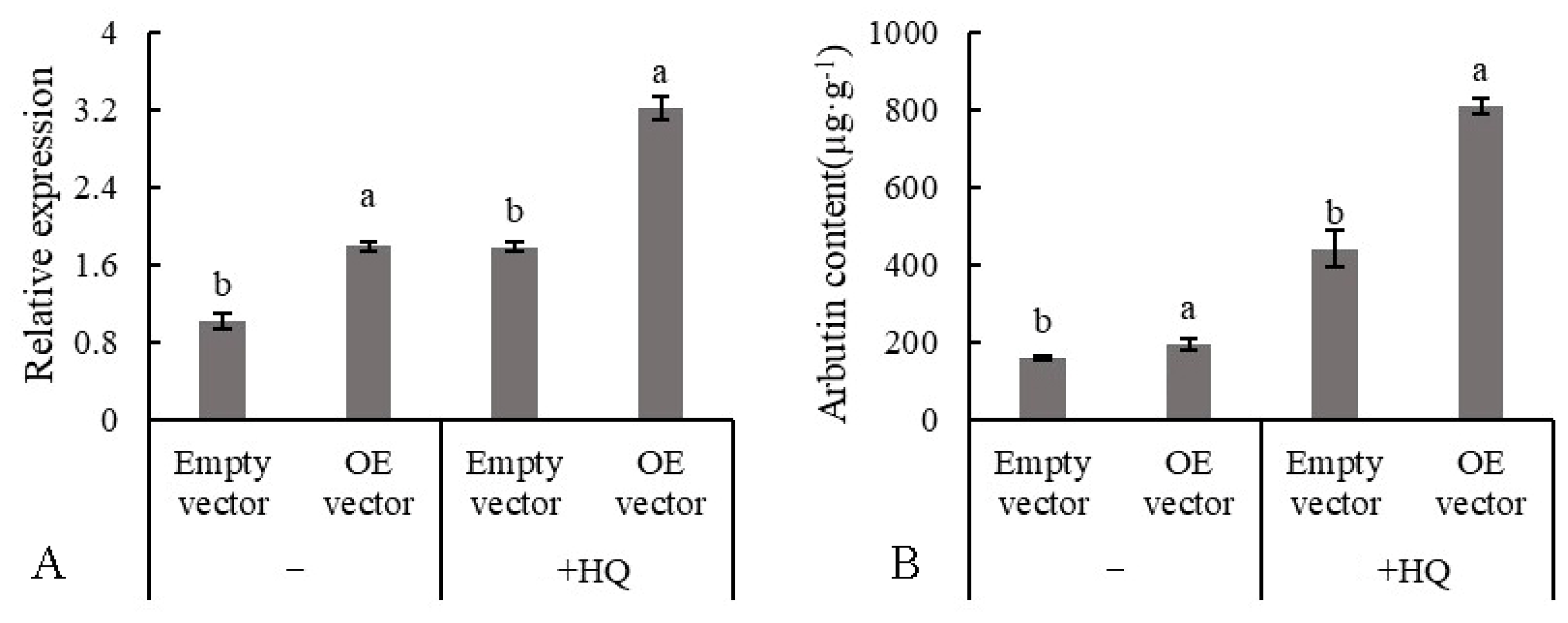 Horticulturae 10 00622 g010