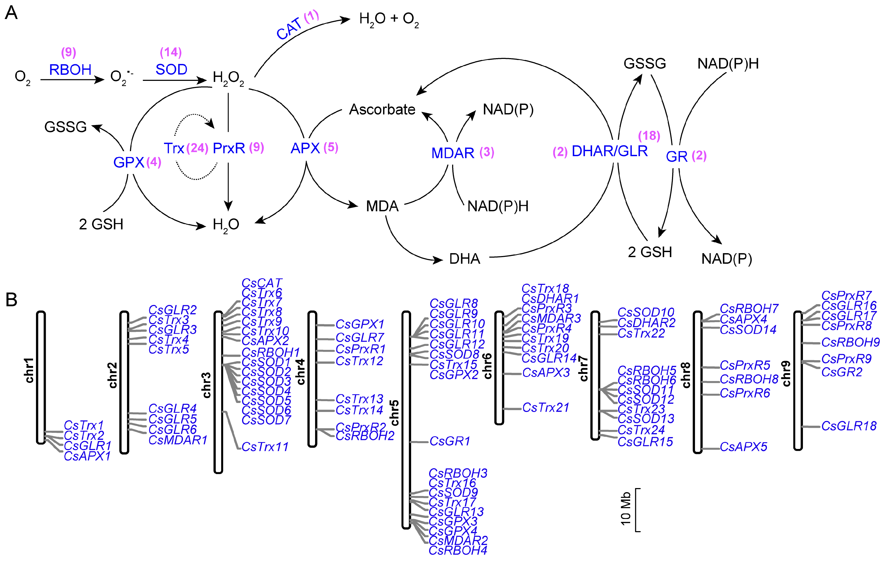 Horticulturae 10 00625 g001