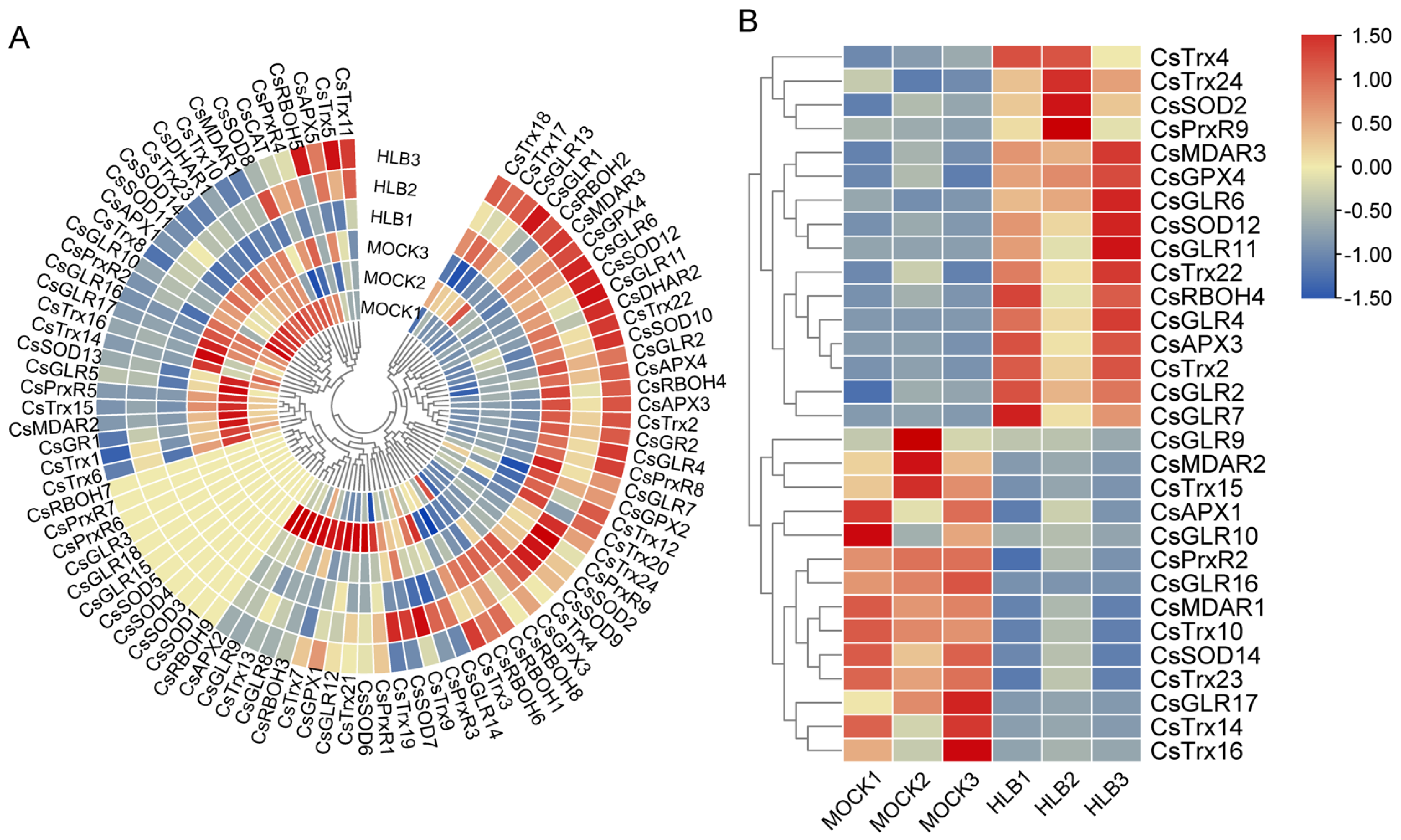 Horticulturae 10 00625 g004