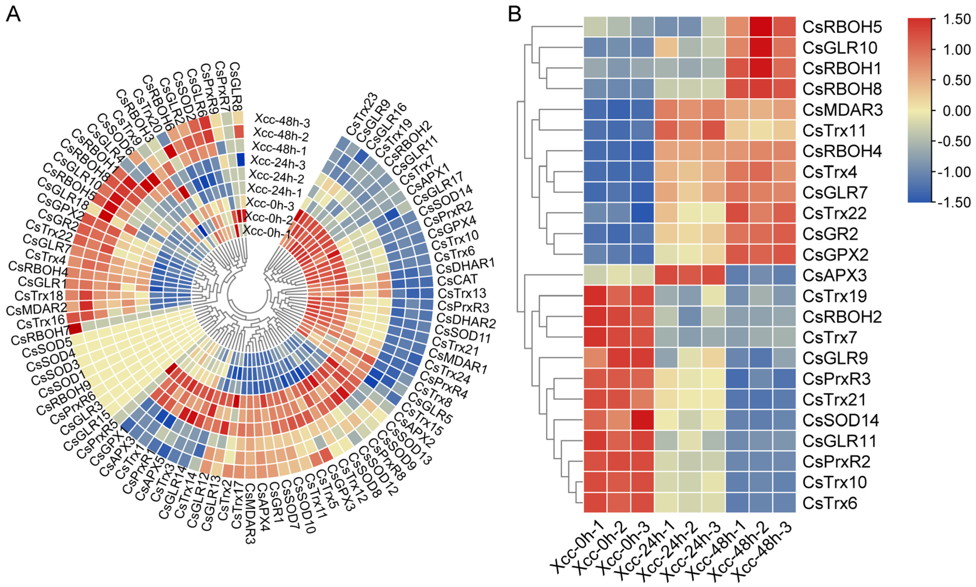 Horticulturae 10 00625 g005