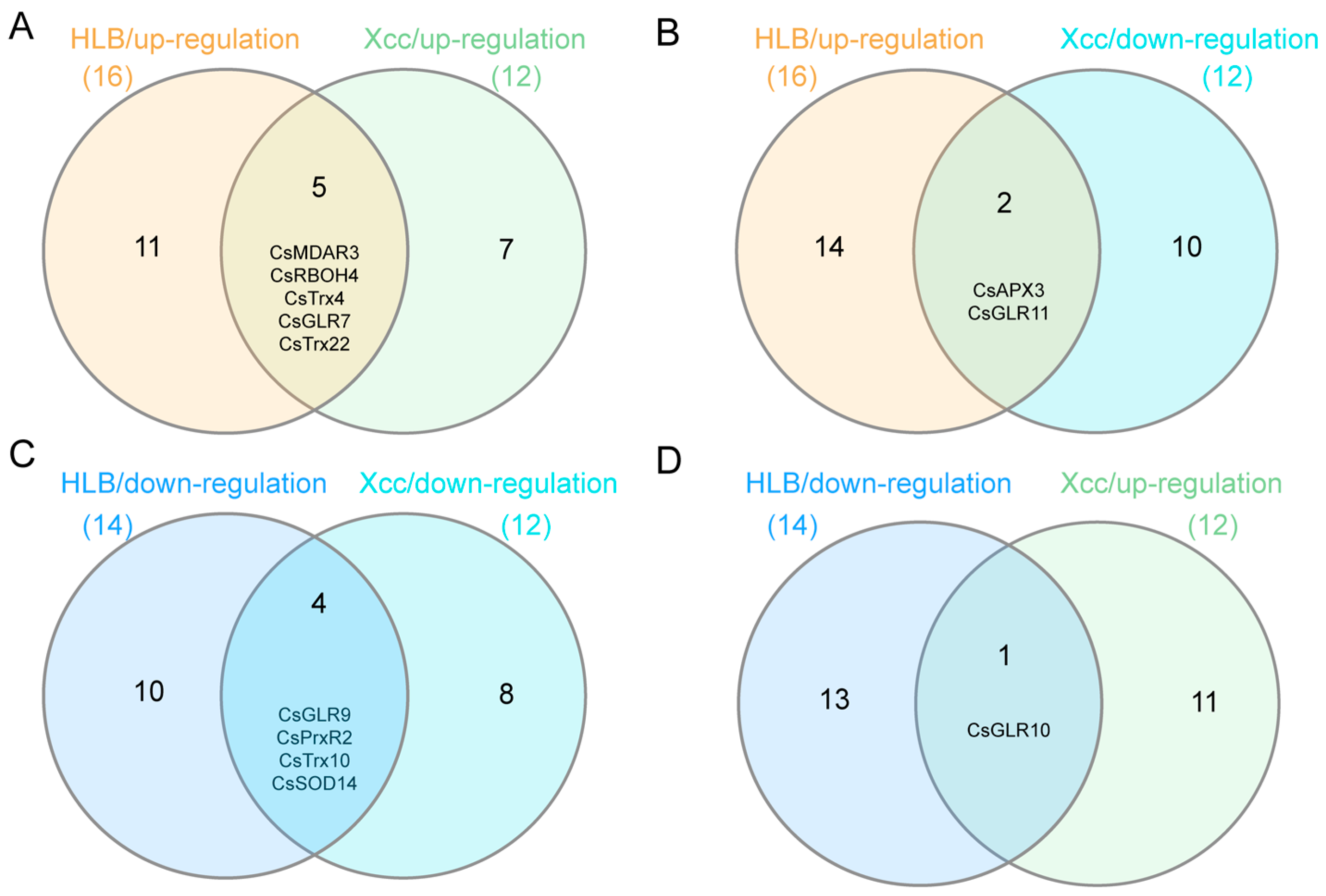 Horticulturae 10 00625 g006