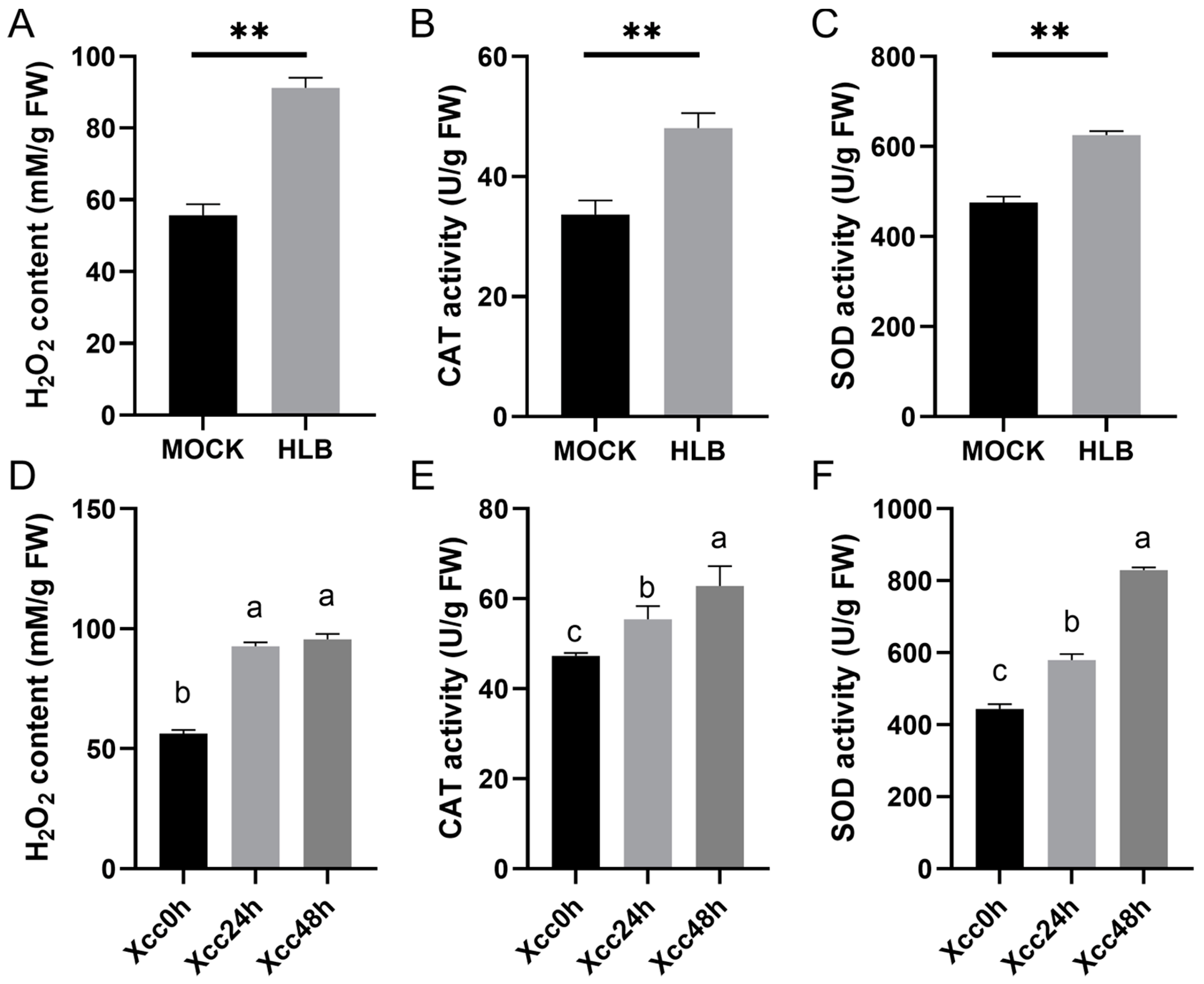 Horticulturae 10 00625 g008