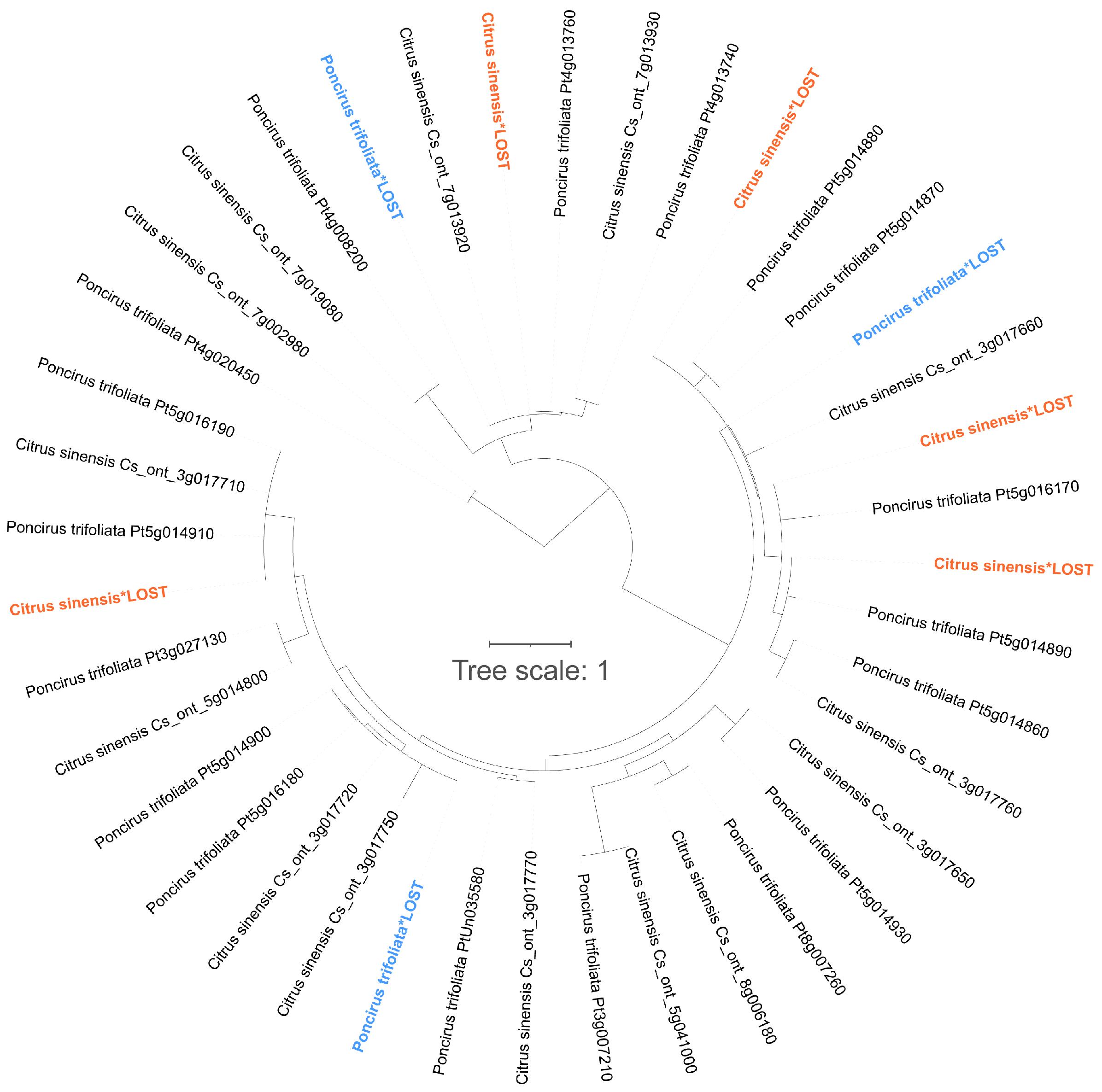 Horticulturae 10 00625 g010