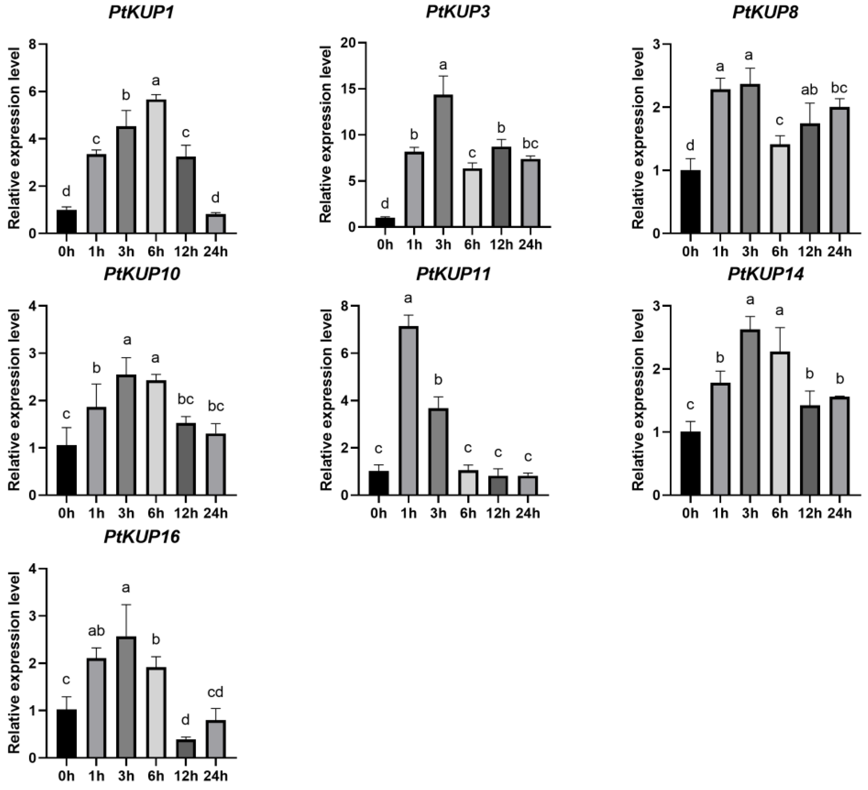 Horticulturae 10 00628 g004