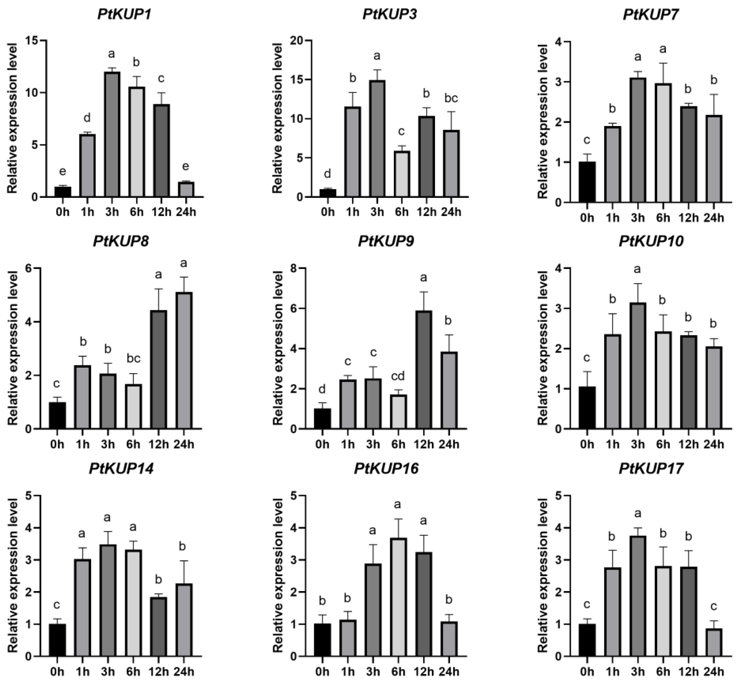 Horticulturae 10 00628 g005