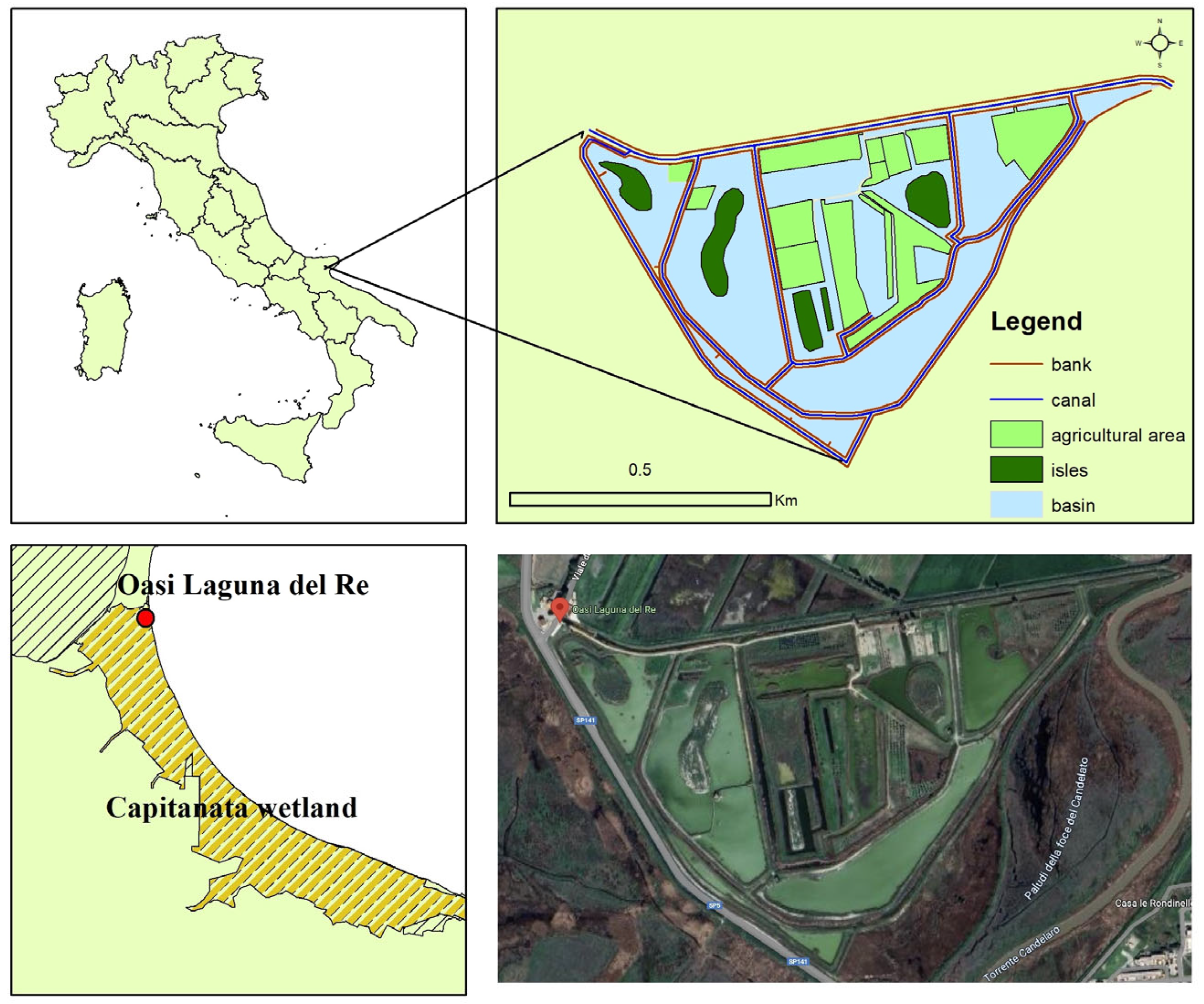 Horticulturae 10 00632 g001