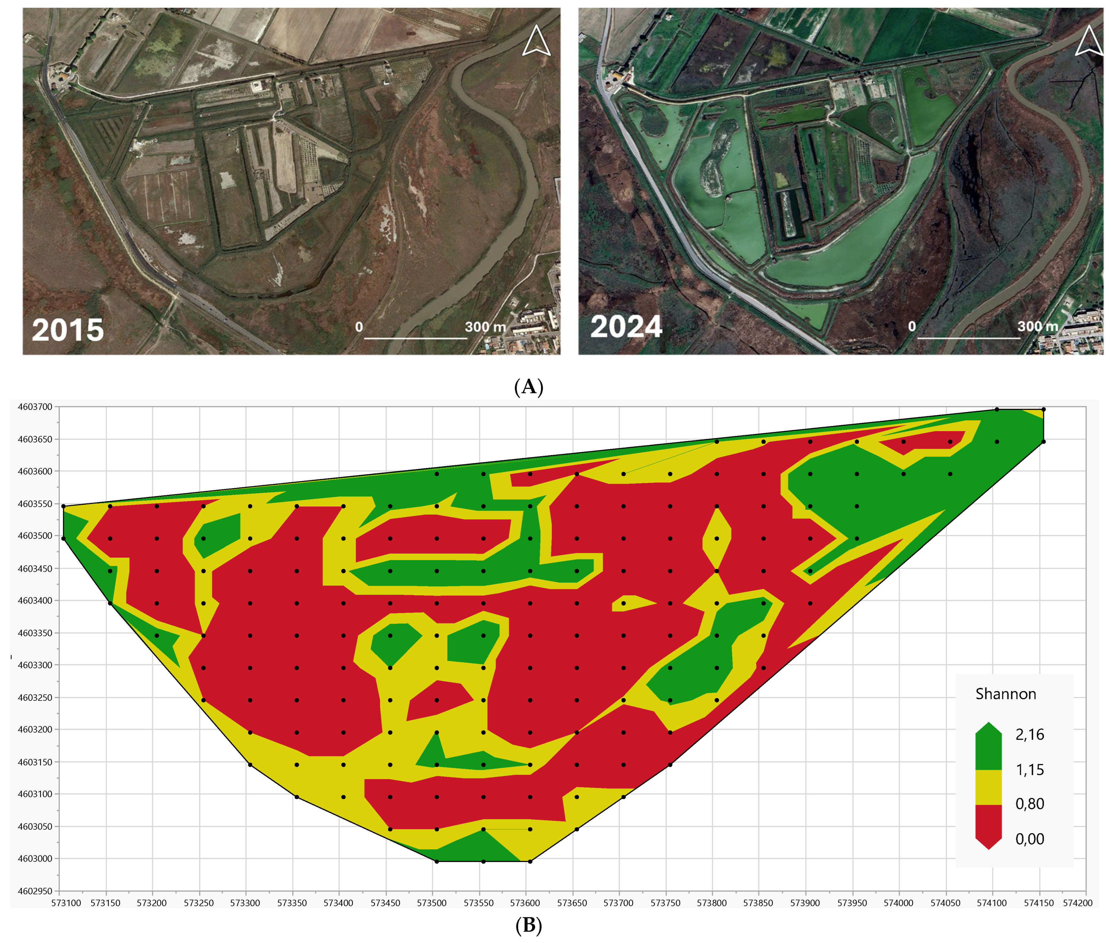 Horticulturae 10 00632 g008