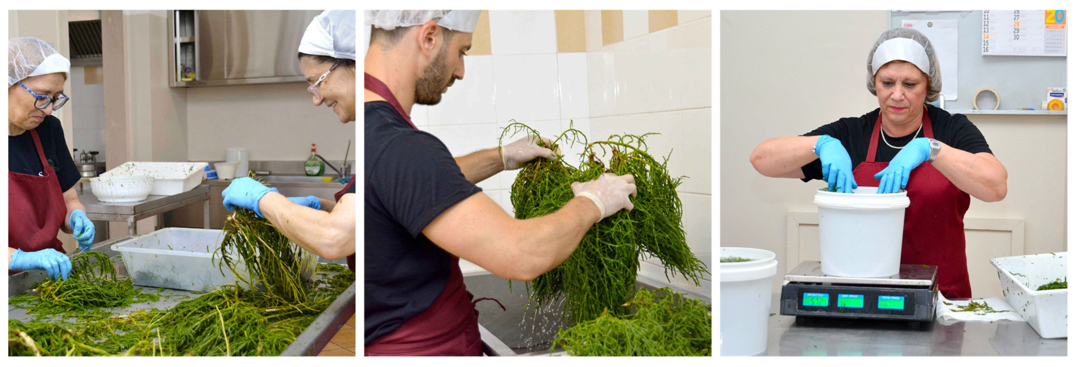 Horticulturae 10 00632 g009