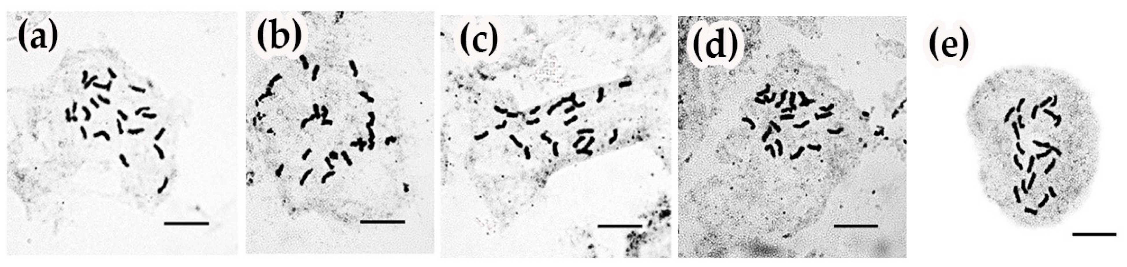 Horticulturae 10 00633 g002