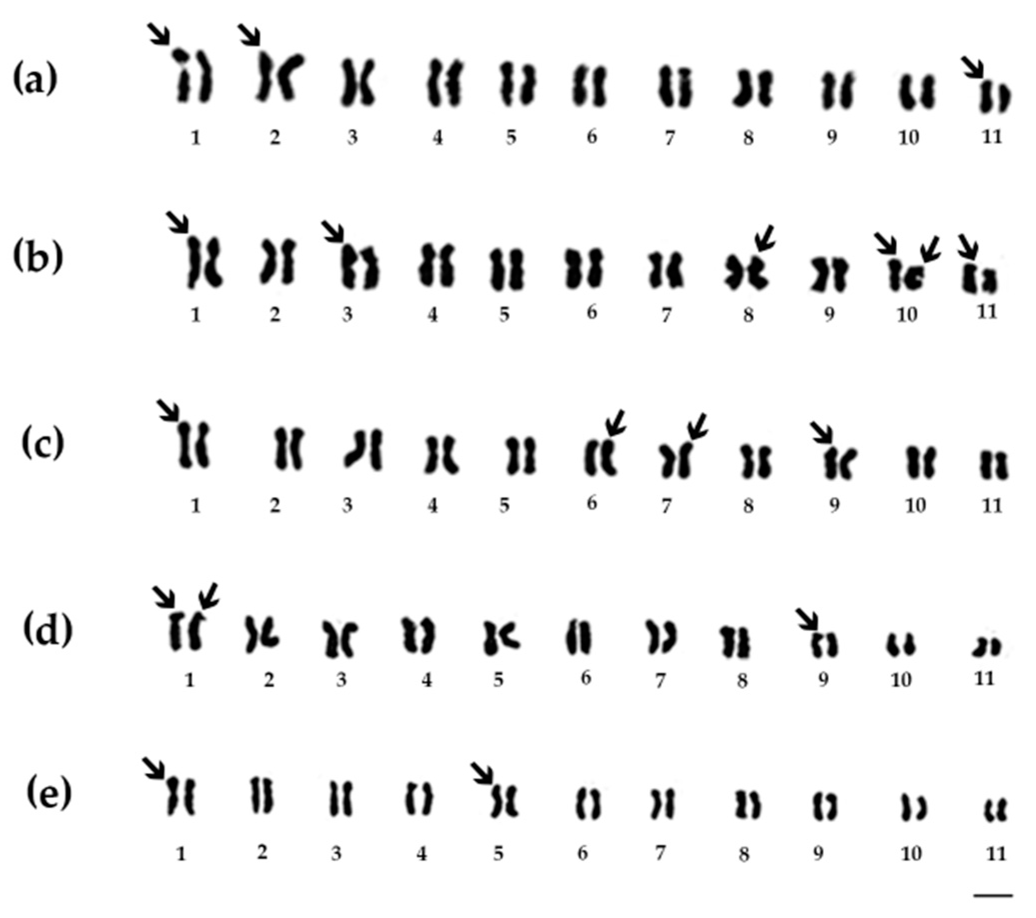 Horticulturae 10 00633 g003