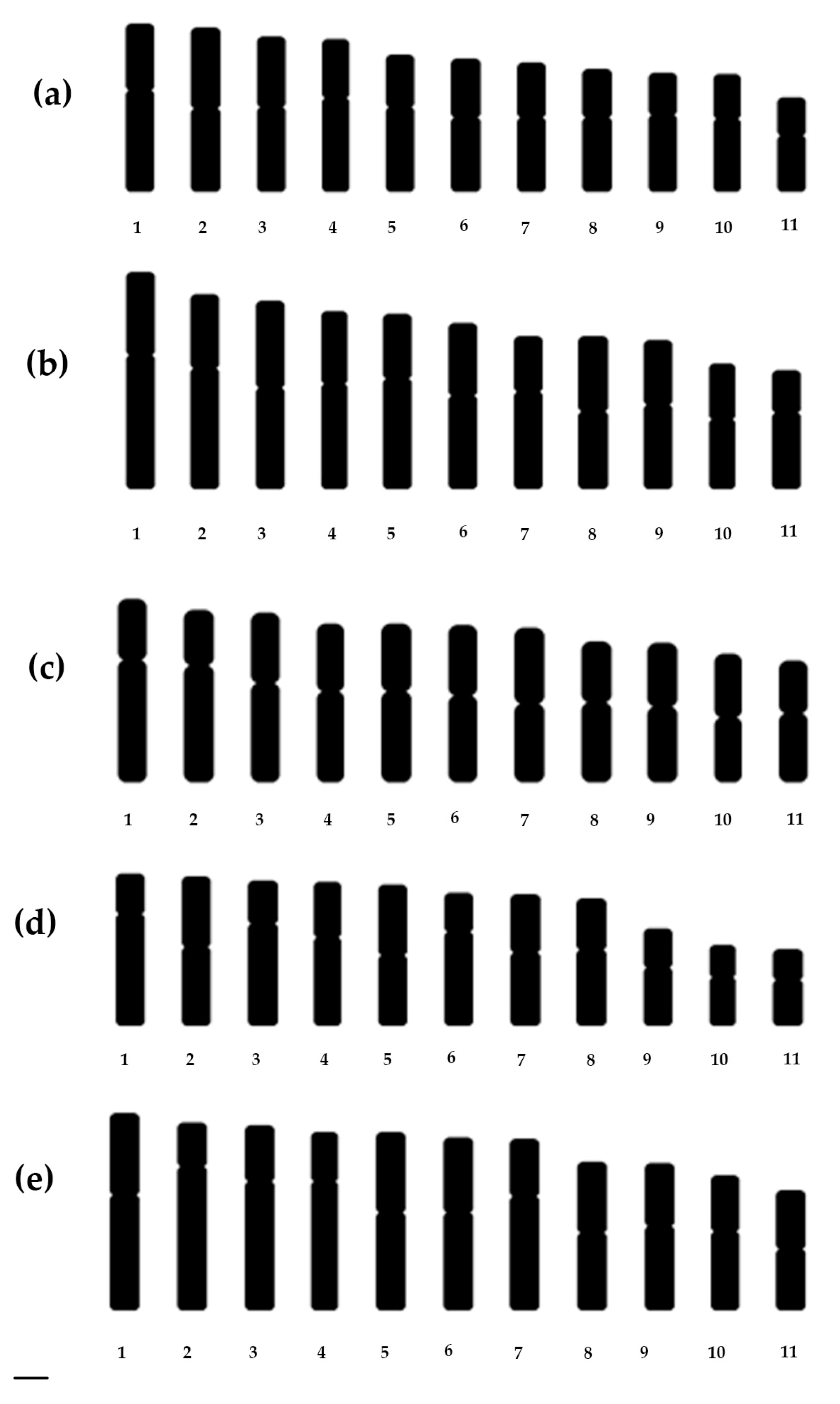Horticulturae 10 00633 g004