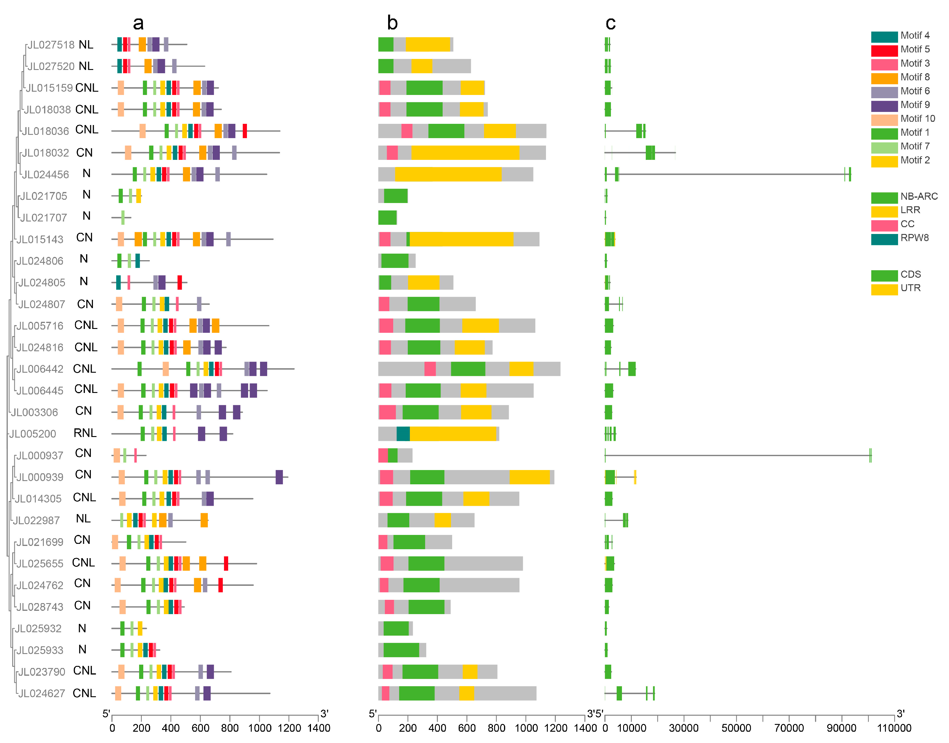 Horticulturae 10 00634 g003