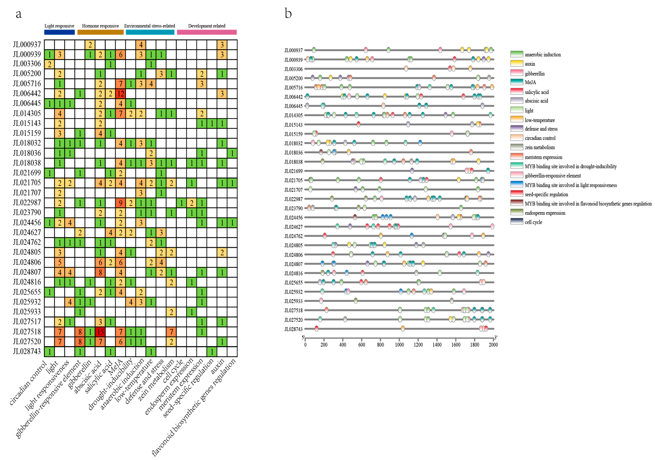Horticulturae 10 00634 g006