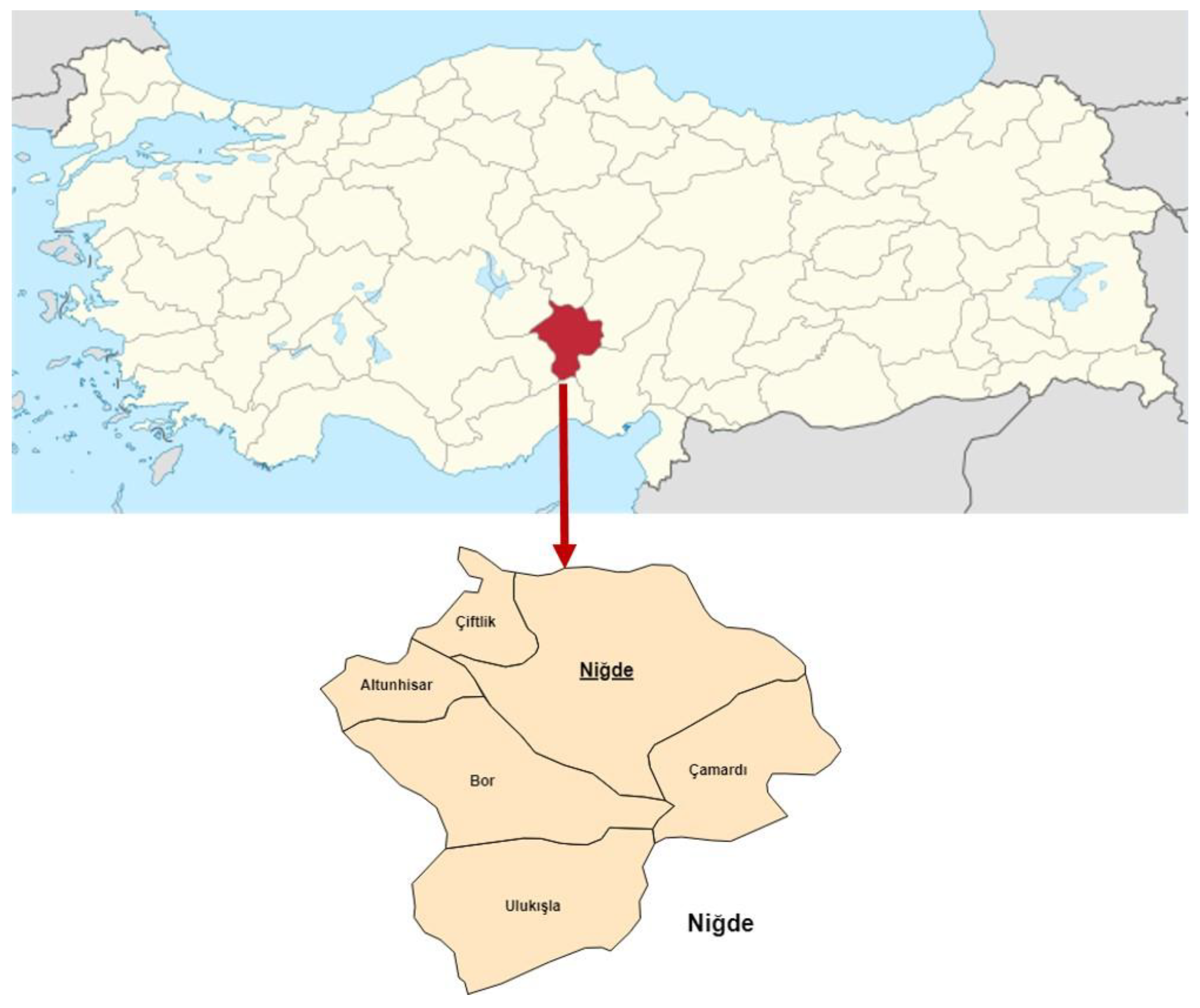 Horticulturae 10 00635 g001