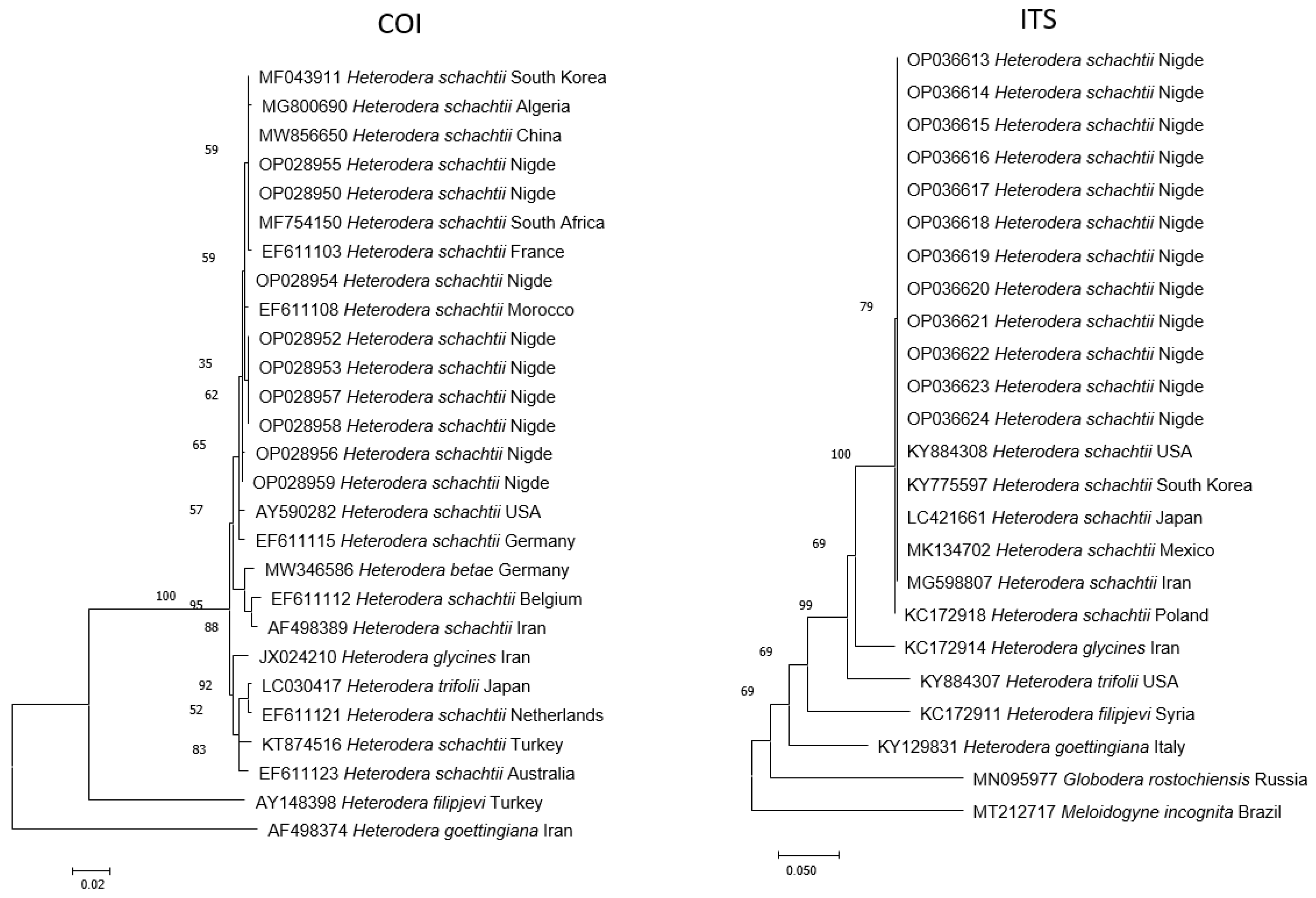 Horticulturae 10 00635 g004