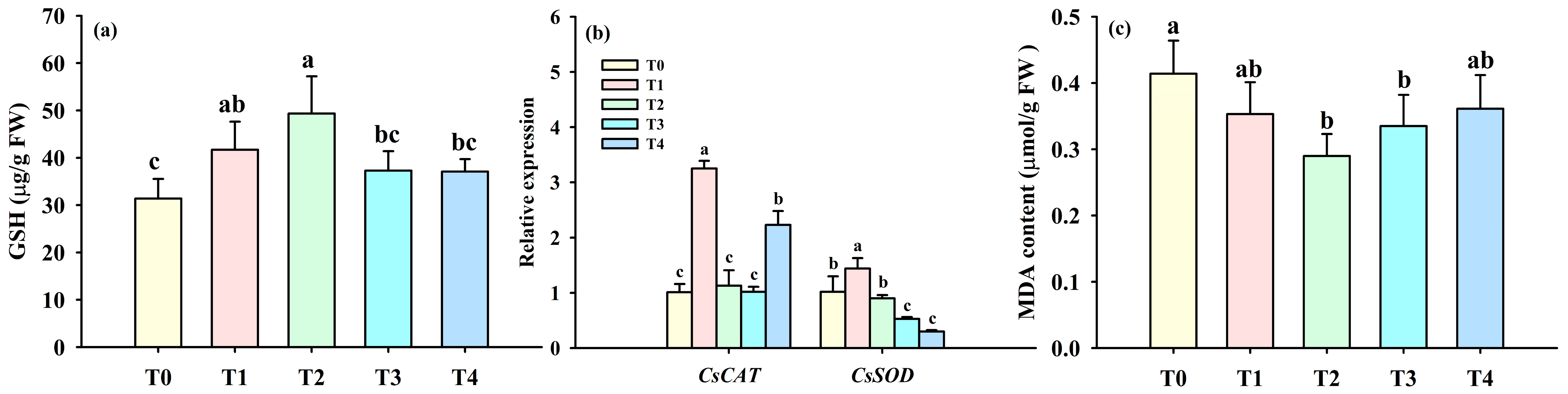 Horticulturae 10 00639 g004