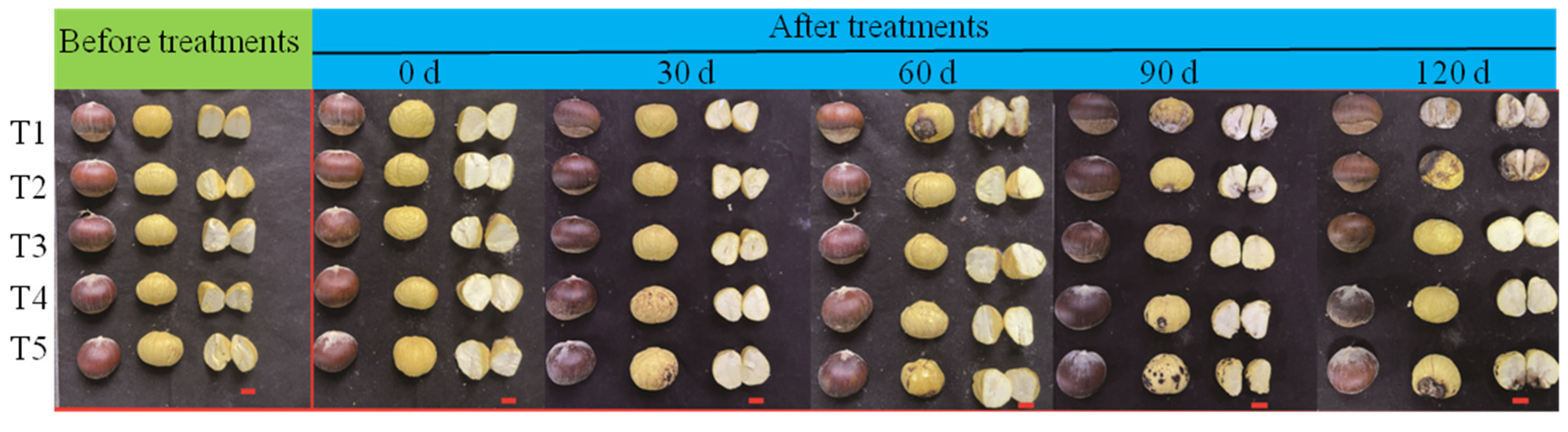 Horticulturae 10 00643 g001