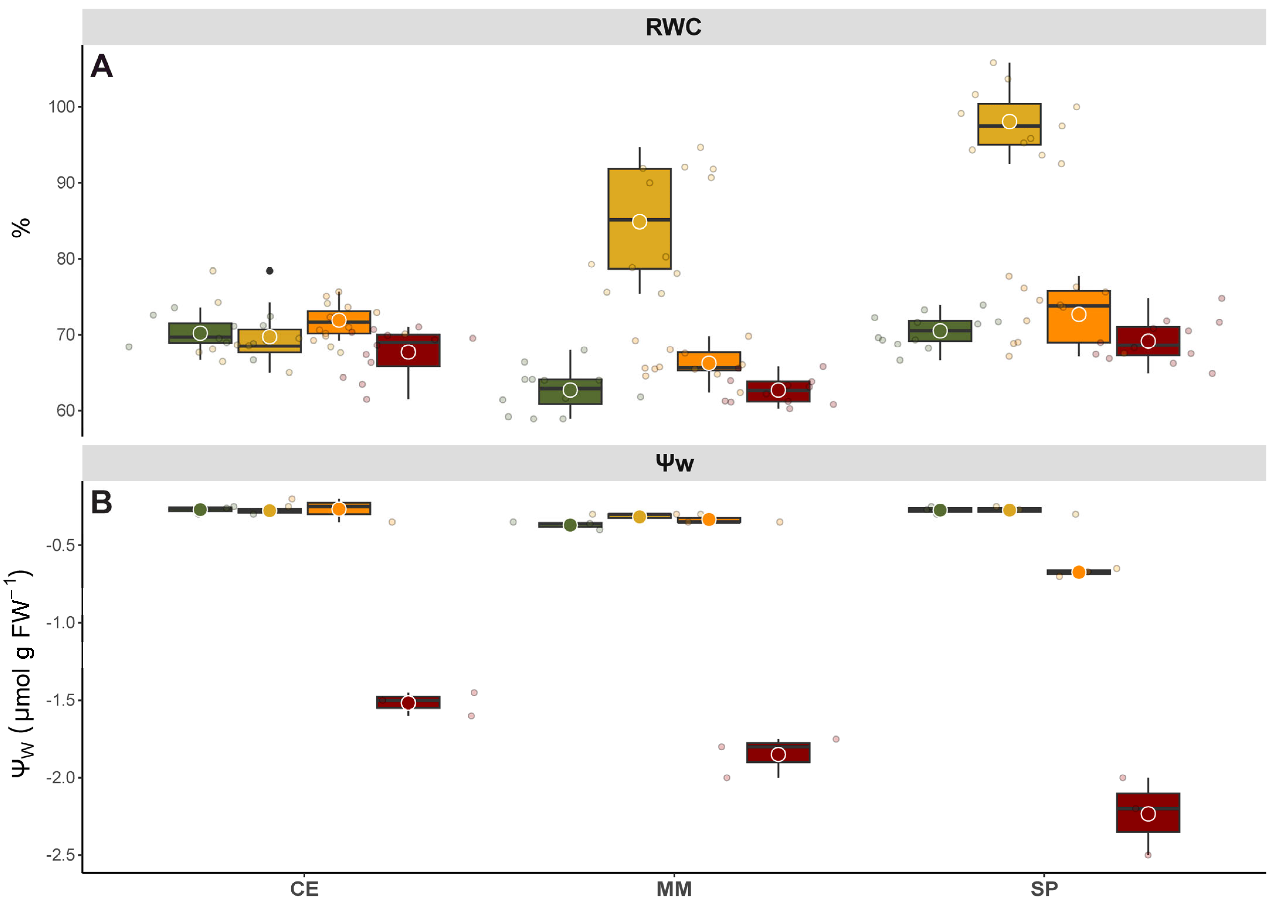 Horticulturae 10 00644 g003