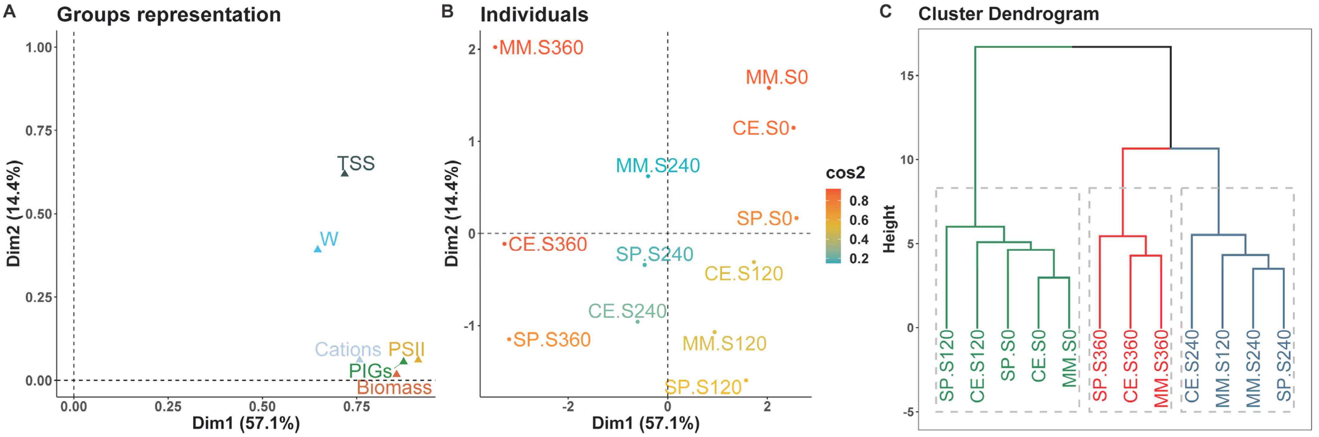 Horticulturae 10 00644 g006