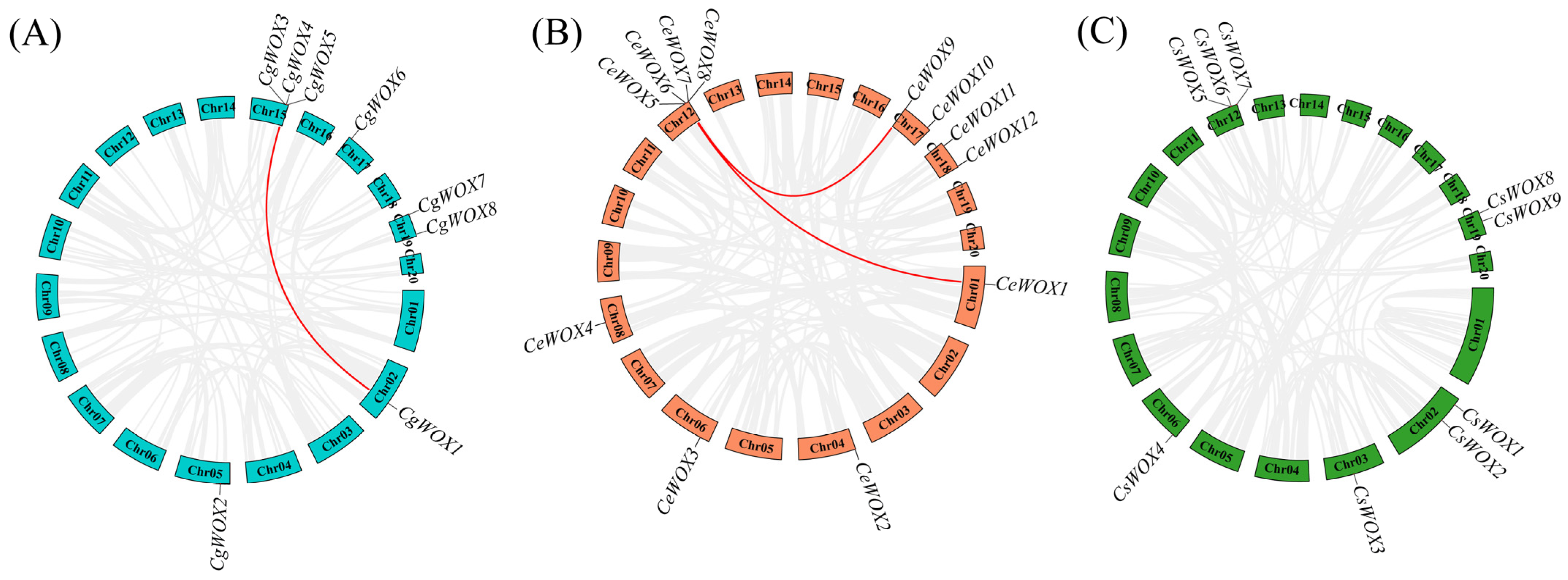 Horticulturae 10 00645 g004