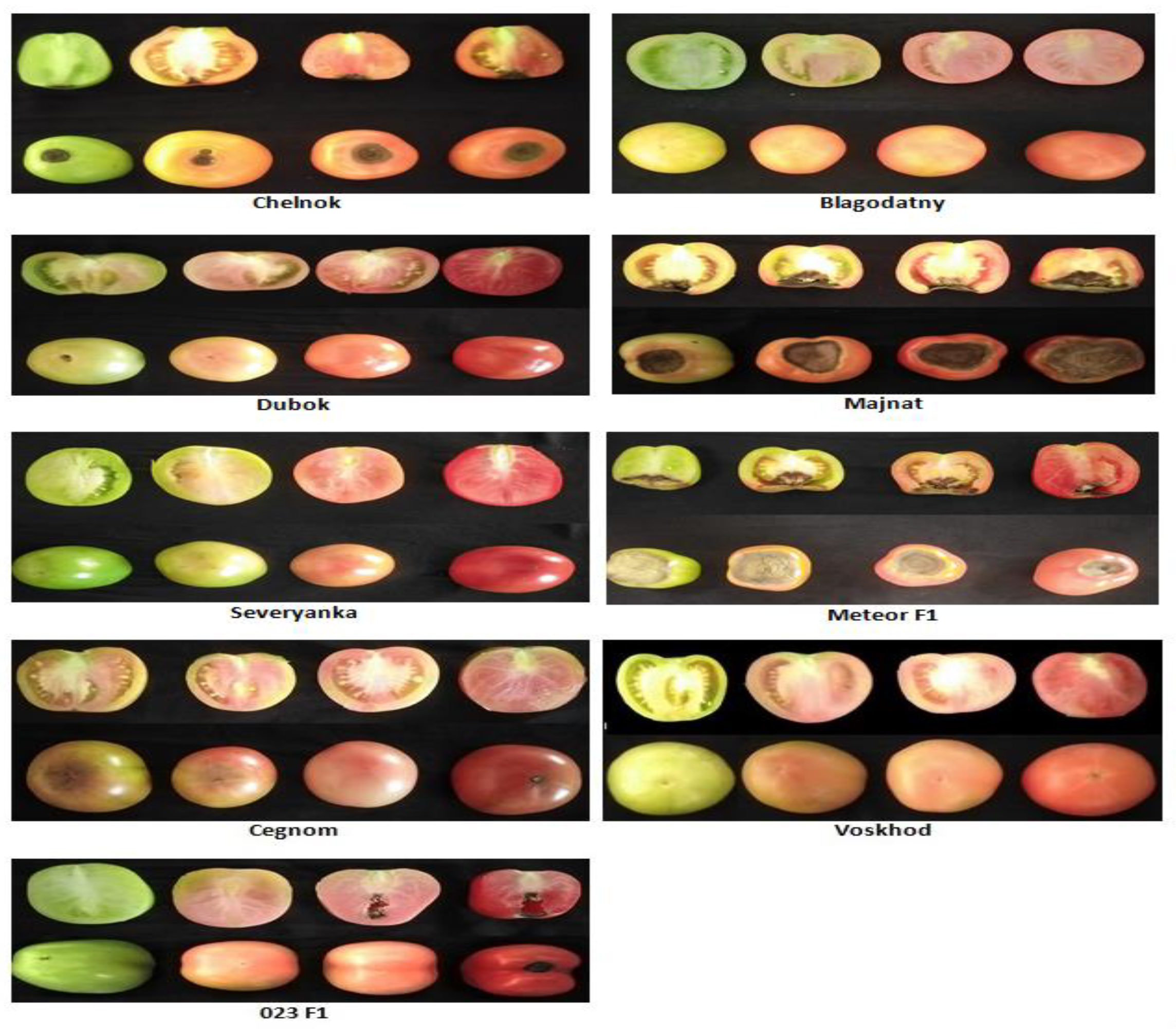 Horticulturae 10 00648 g002