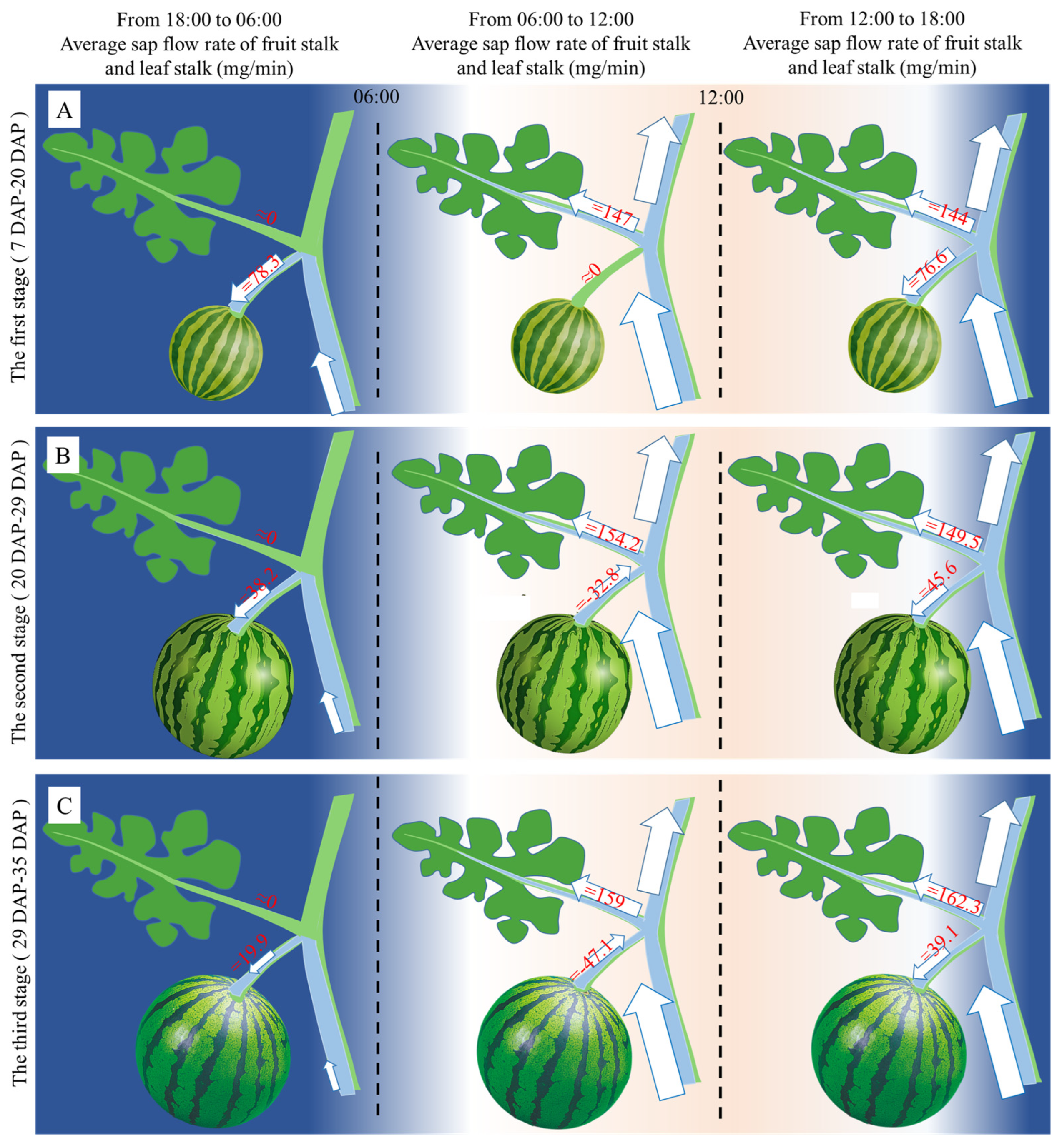 Horticulturae 10 00649 g007