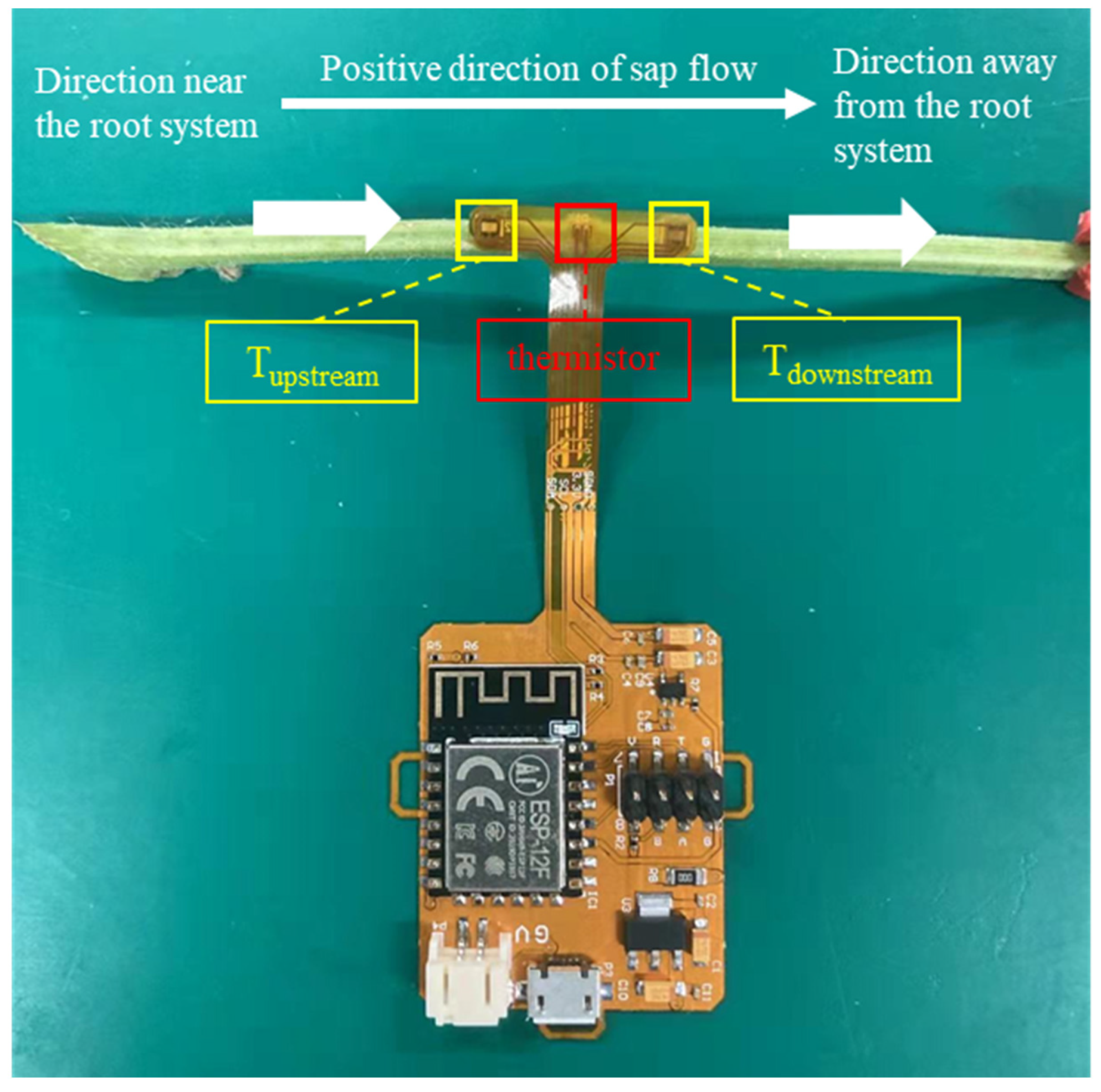 Horticulturae 10 00649 g0a1
