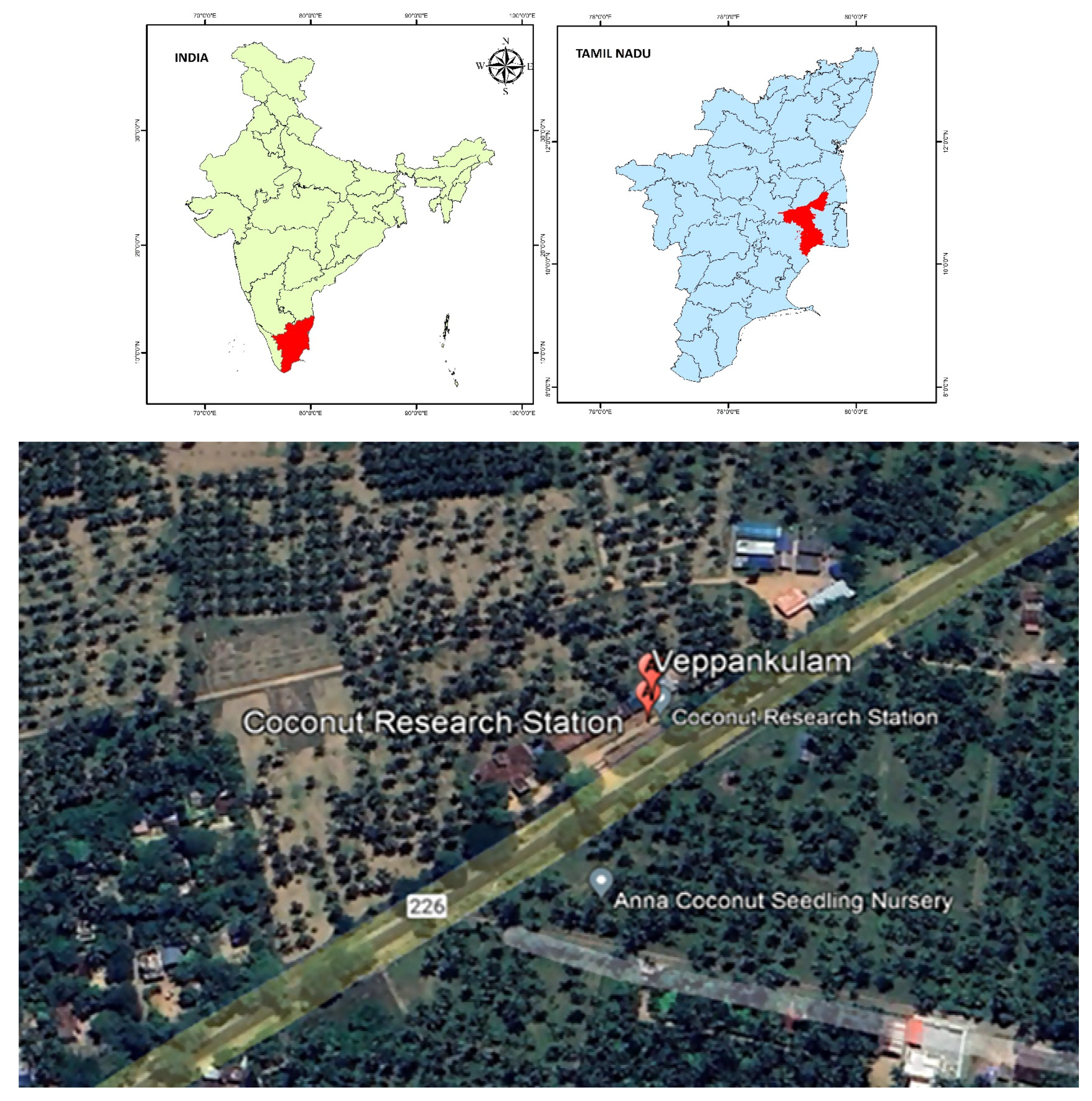 Horticulturae 10 00653 g001