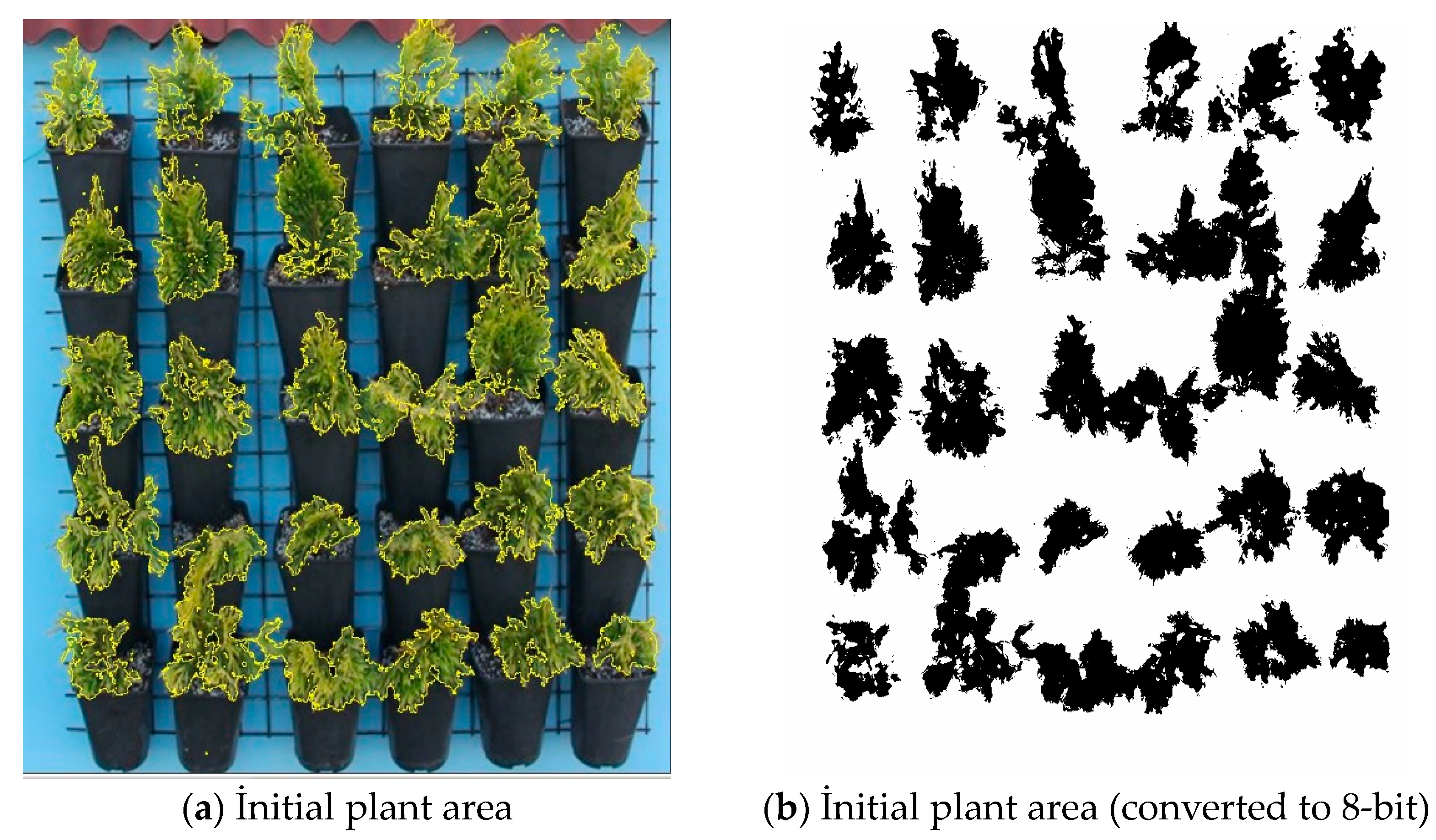 Horticulturae 10 00654 g002a