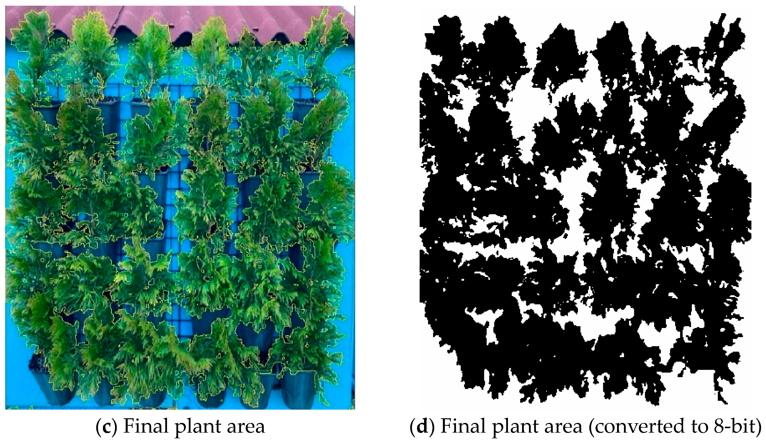 Horticulturae 10 00654 g002b
