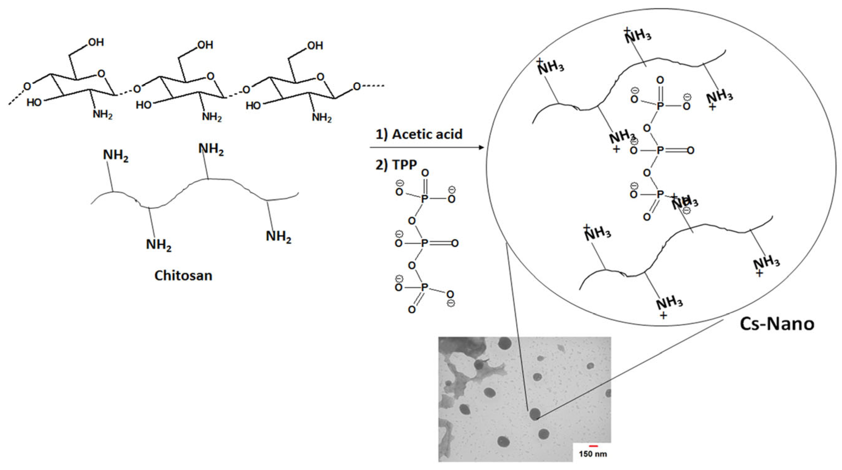 Horticulturae 10 00659 g001