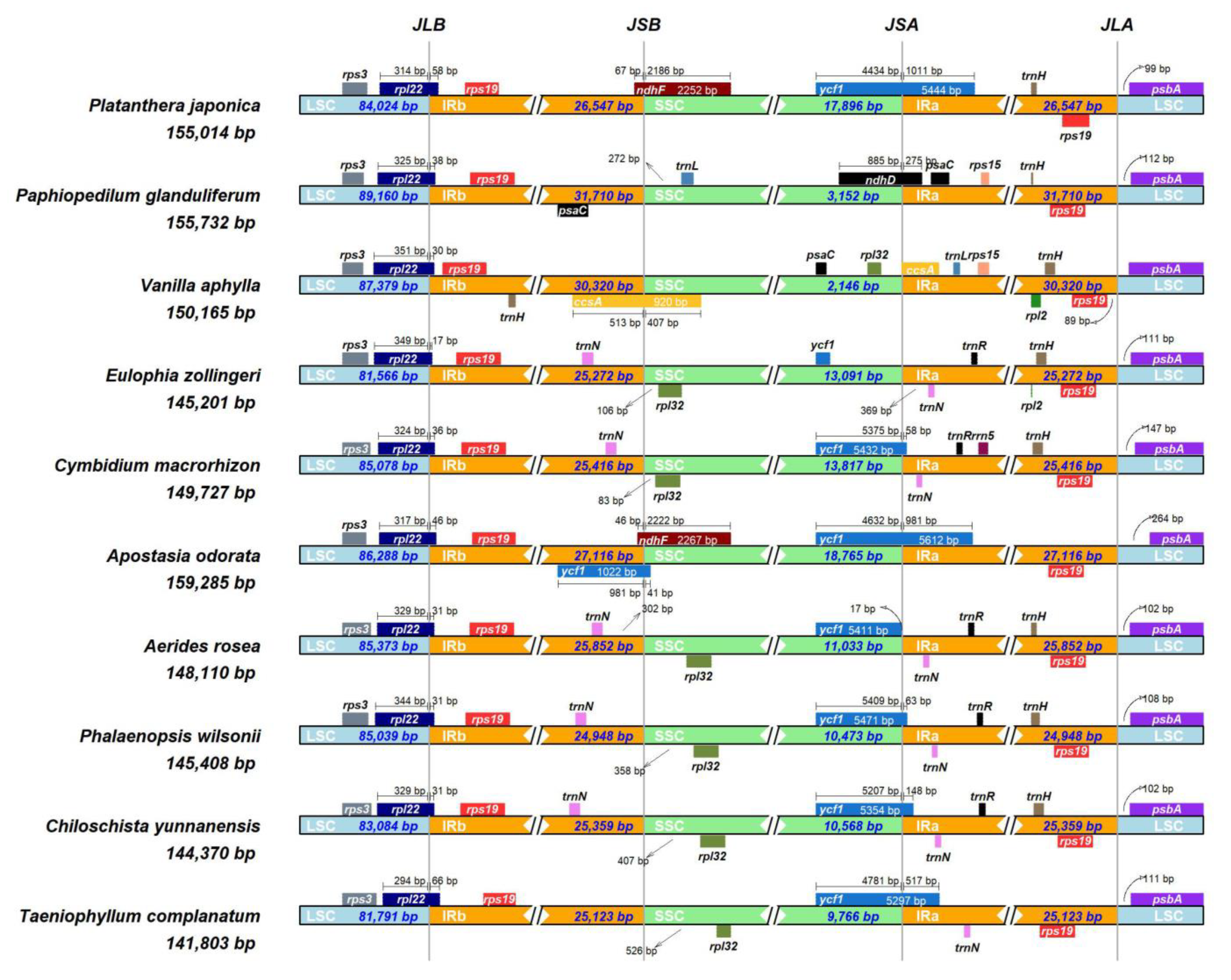 Horticulturae 10 00660 g002