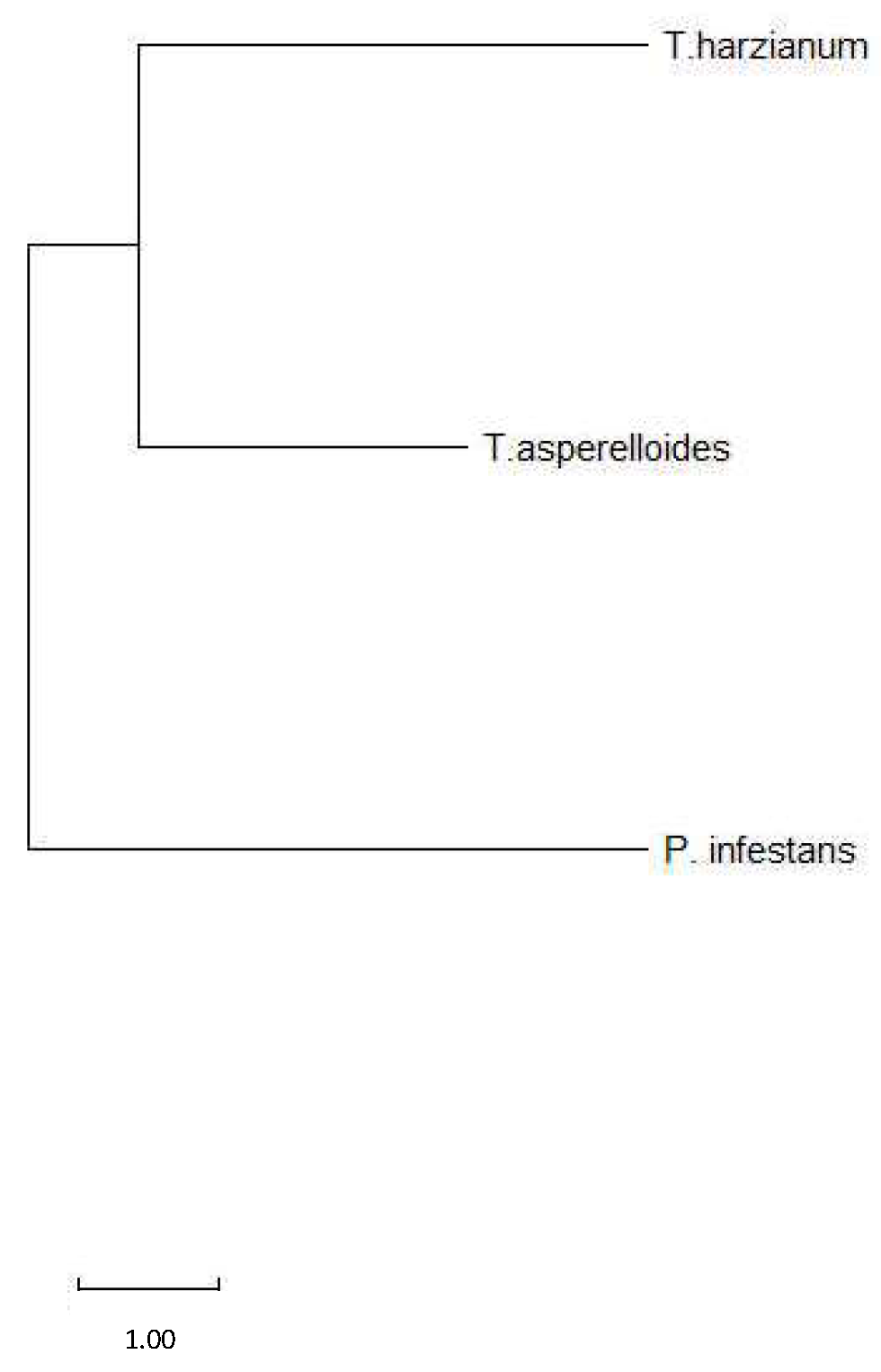 Horticulturae 10 00664 g002