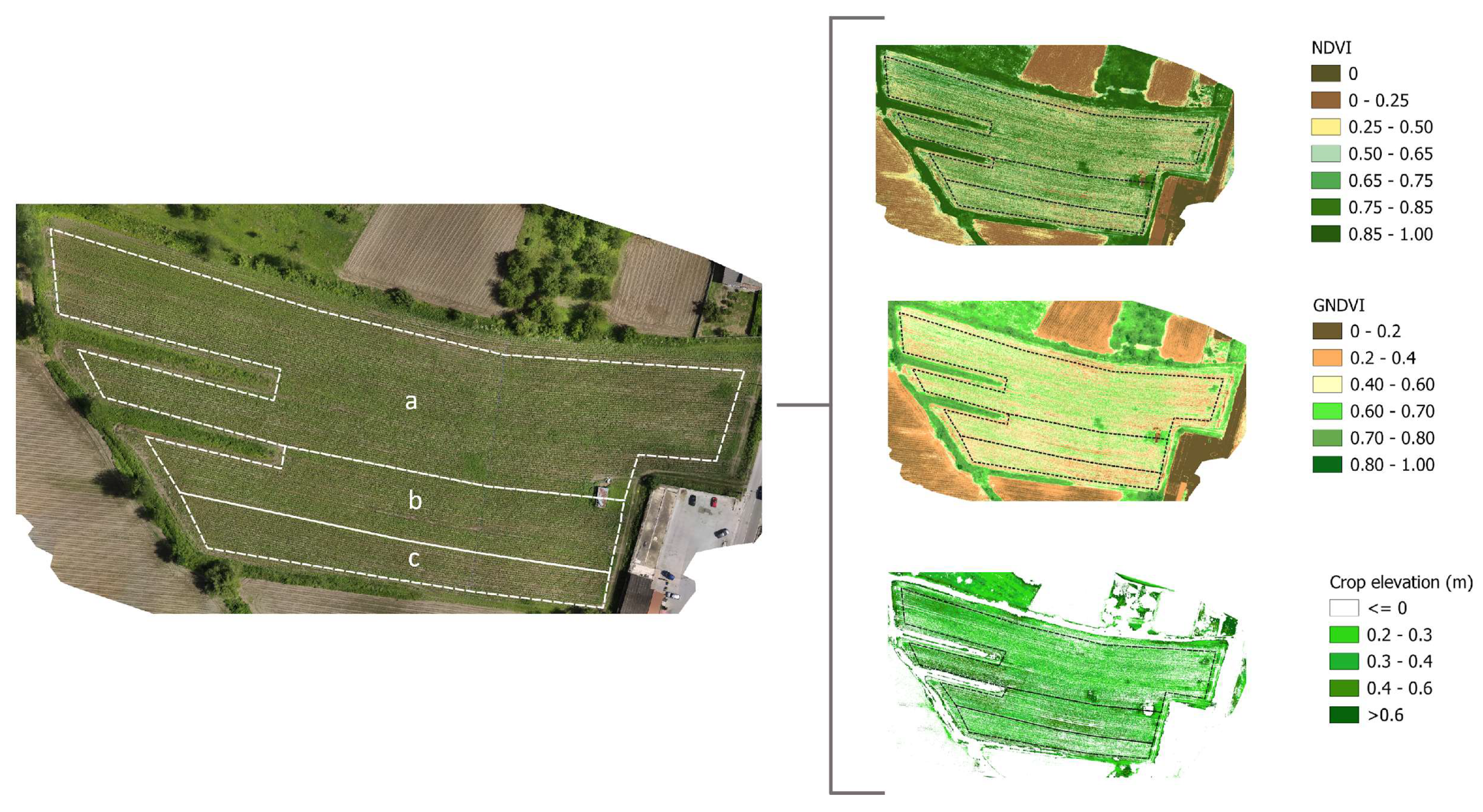 Horticulturae 10 00664 g006