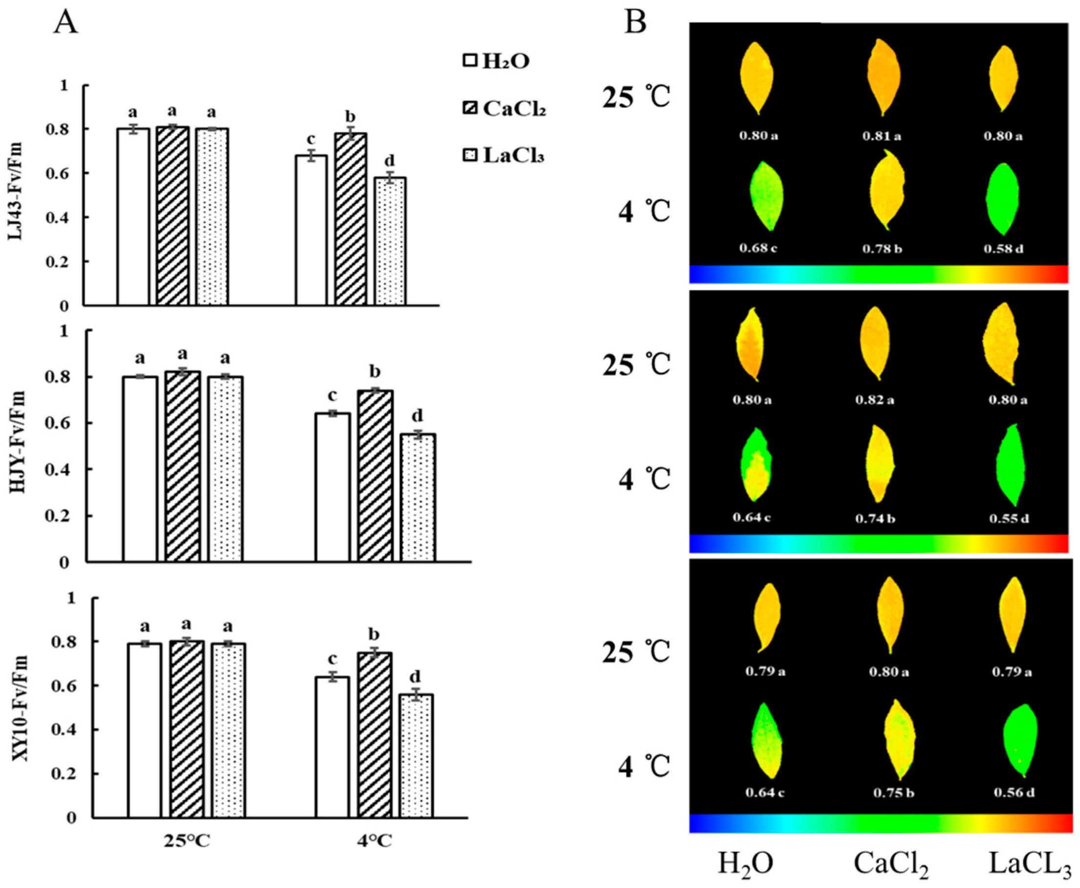 Horticulturae 10 00666 g001