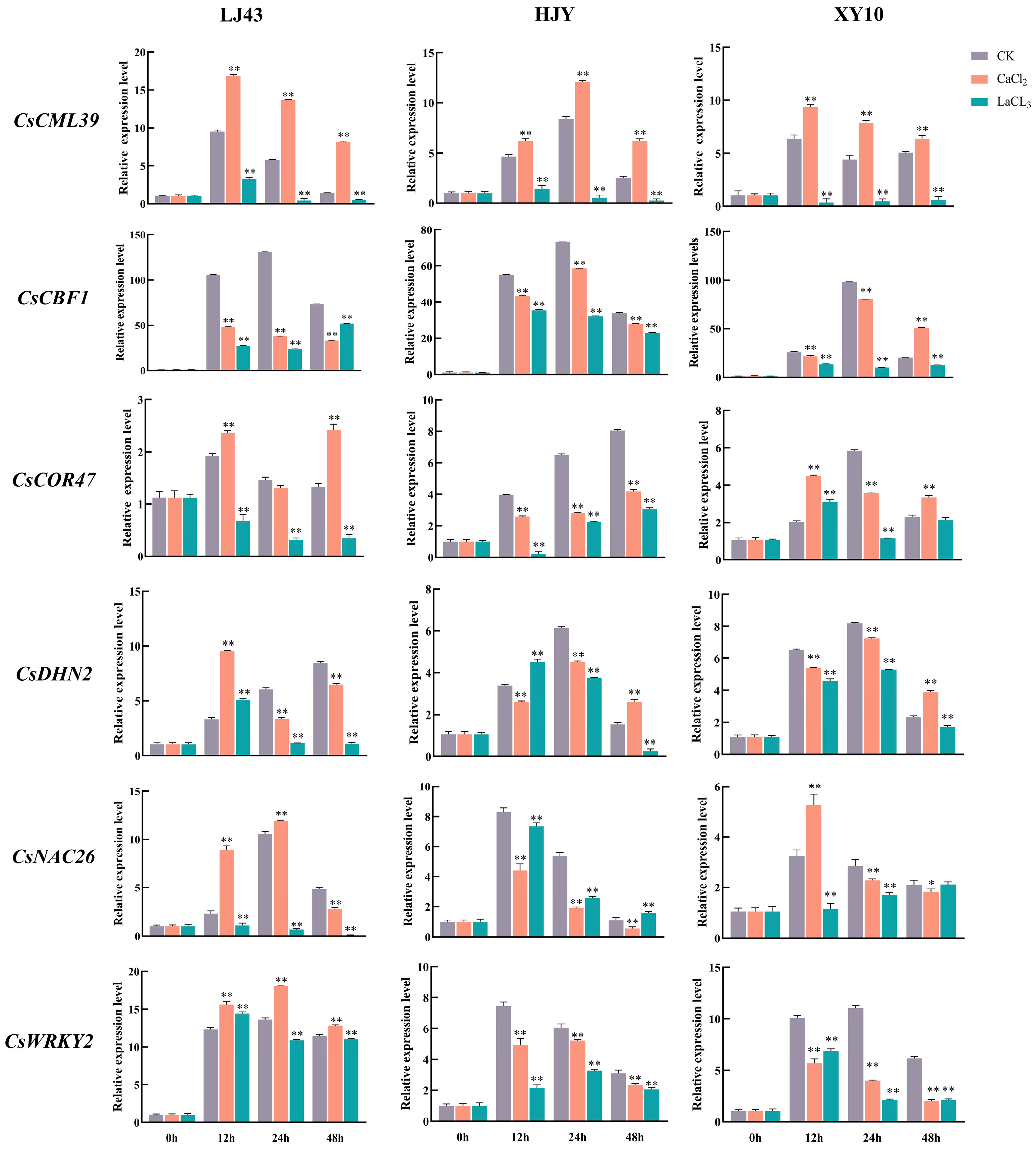 Horticulturae 10 00666 g005