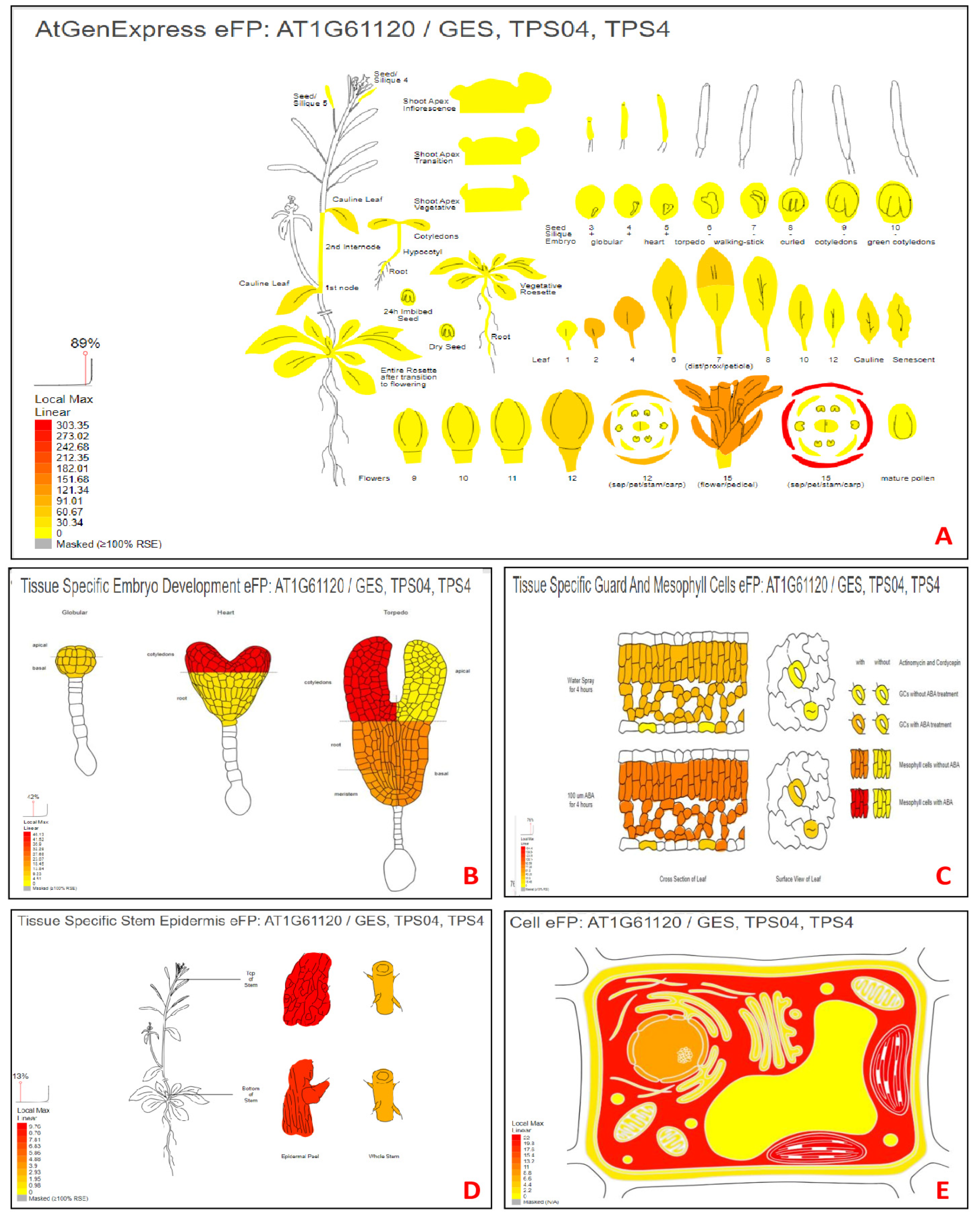 Horticulturae 10 00668 g004 Horticulturae 10 00668 g004