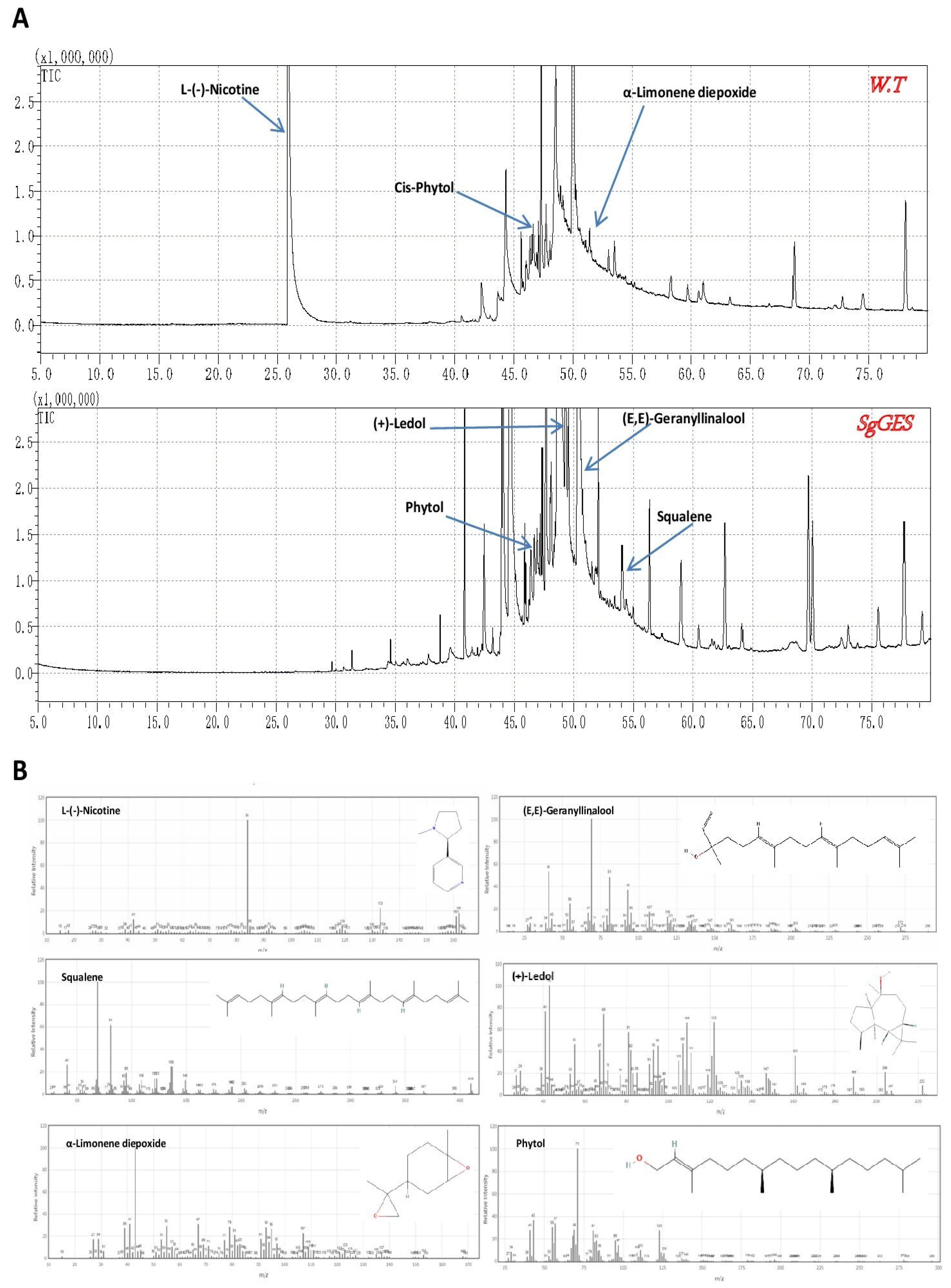 Horticulturae 10 00668 g007 Horticulturae 10 00668 g007