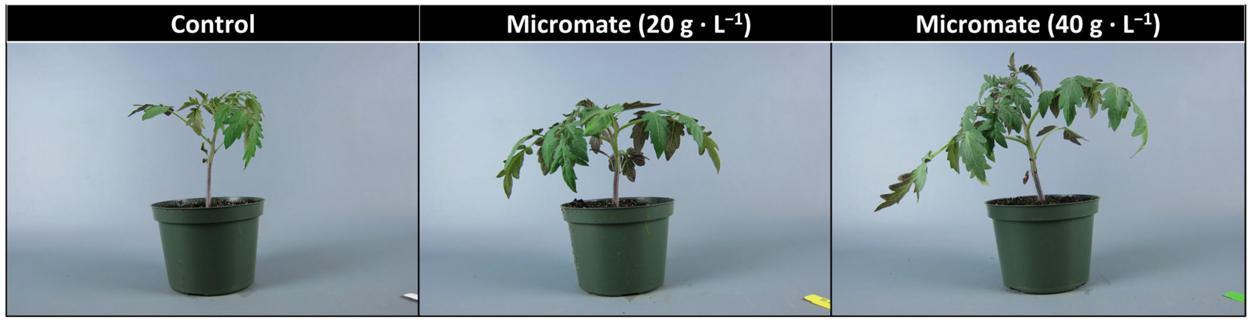 Horticulturae 10 00671 g004