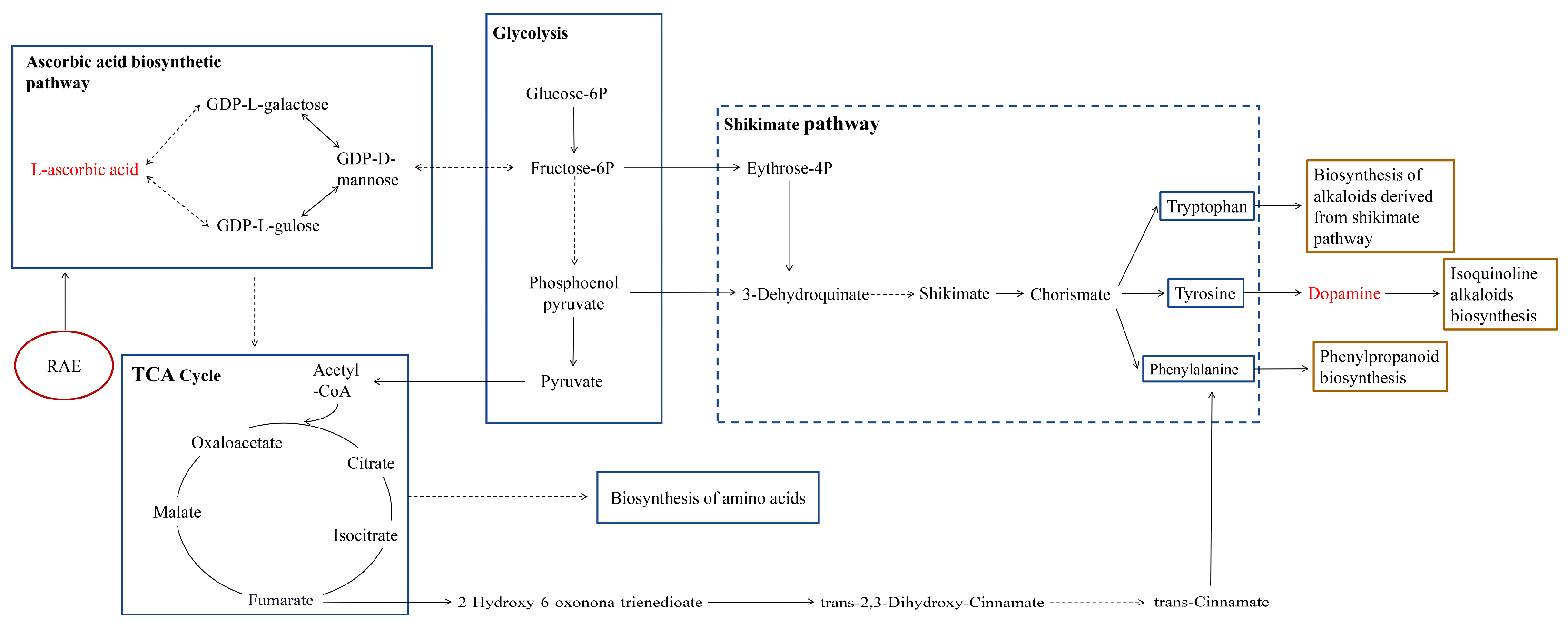 Horticulturae 10 00683 g006