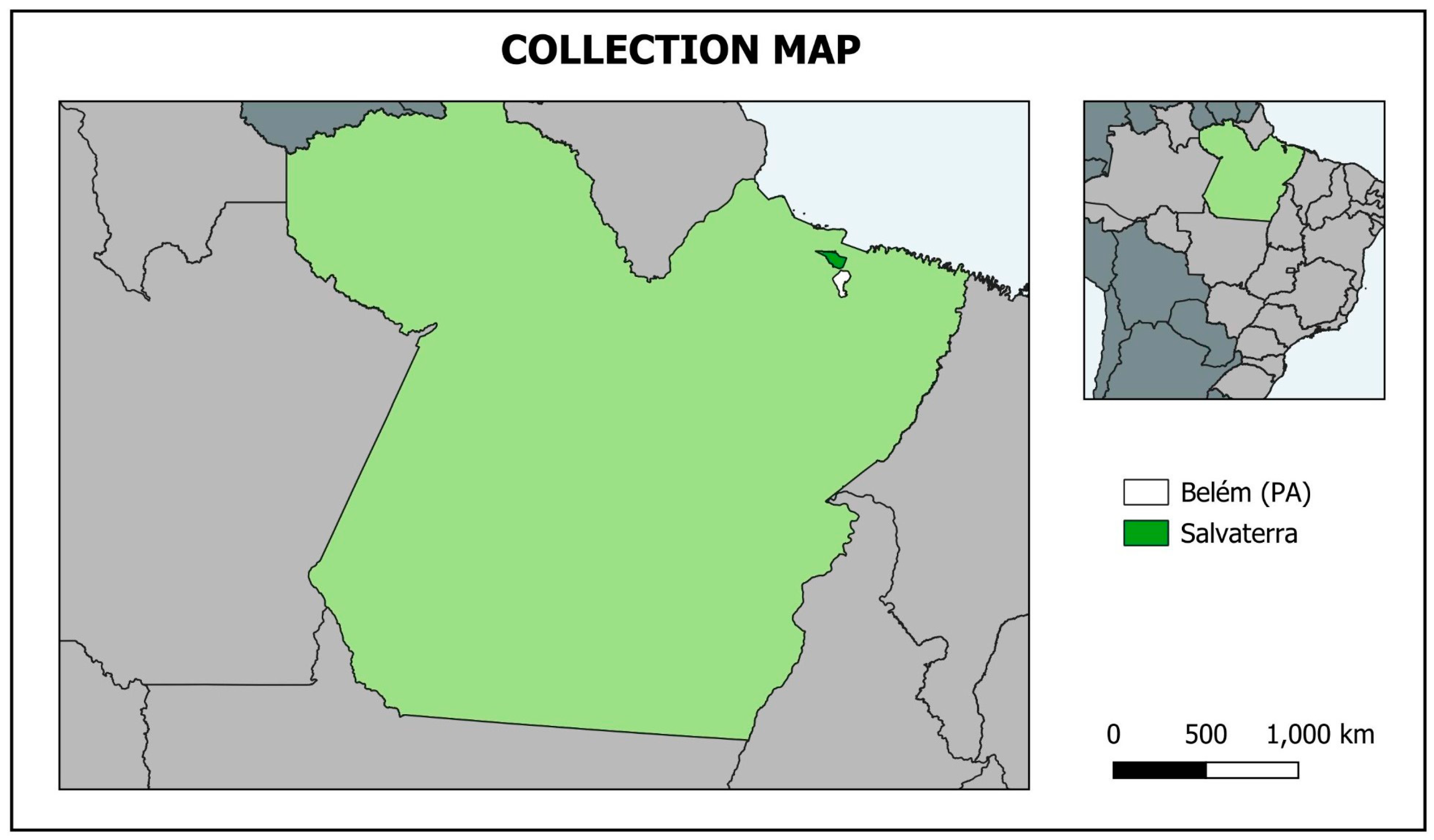 Horticulturae 10 00690 g001