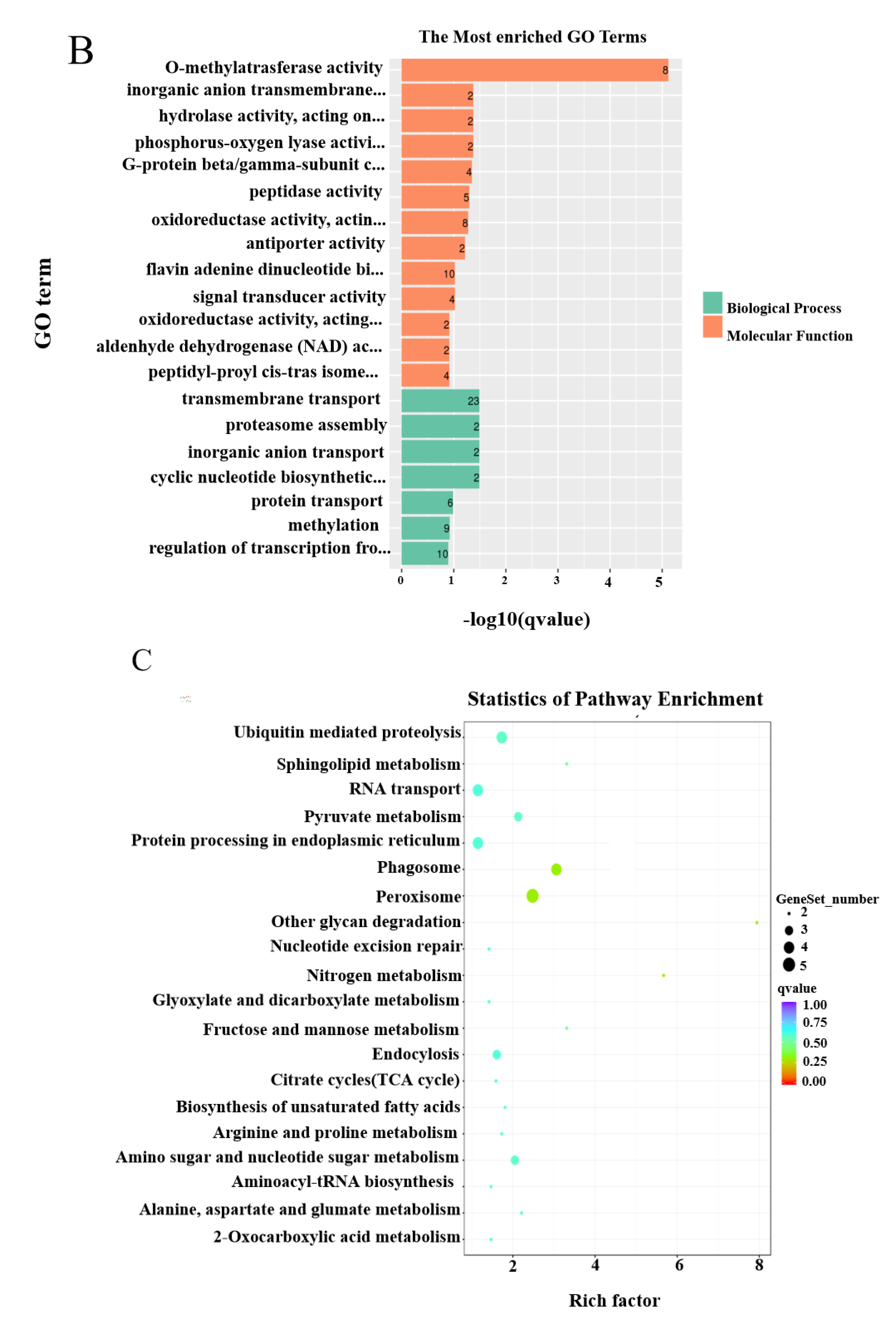 Horticulturae 10 00691 g002b Horticulturae 10 00691 g002b