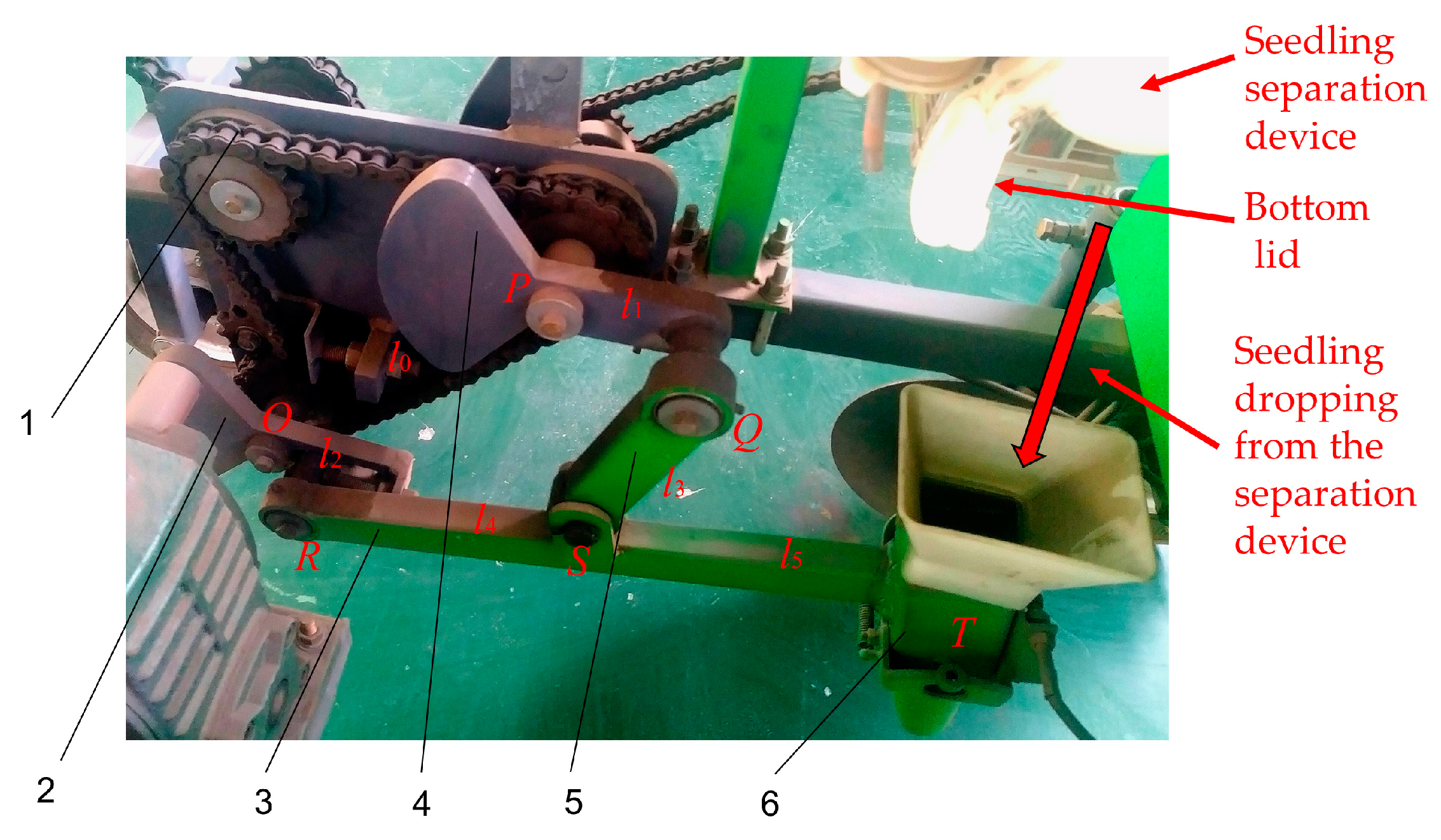 Horticulturae 10 00692 g010