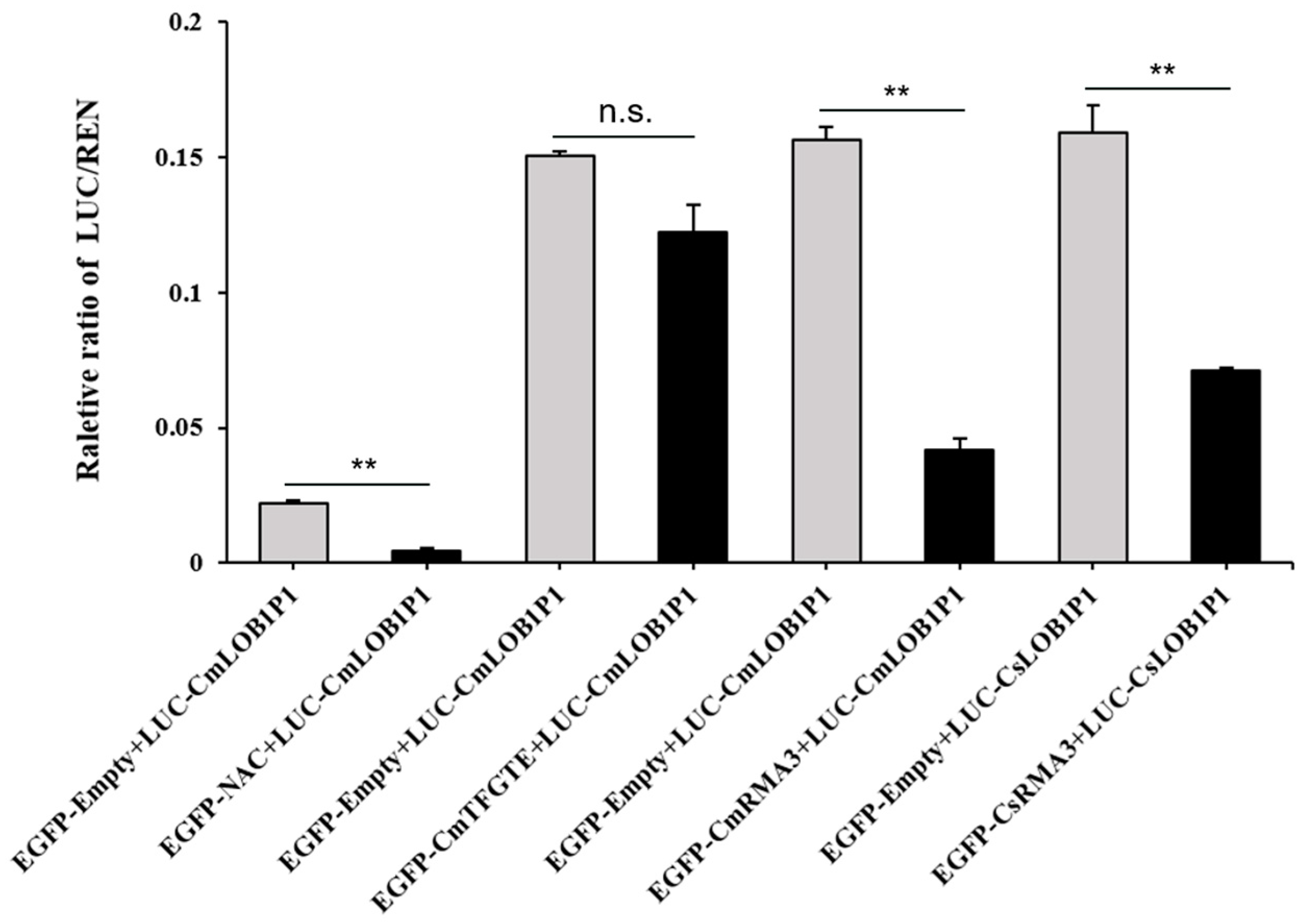 Horticulturae 10 00693 g004 Horticulturae 10 00693 g004