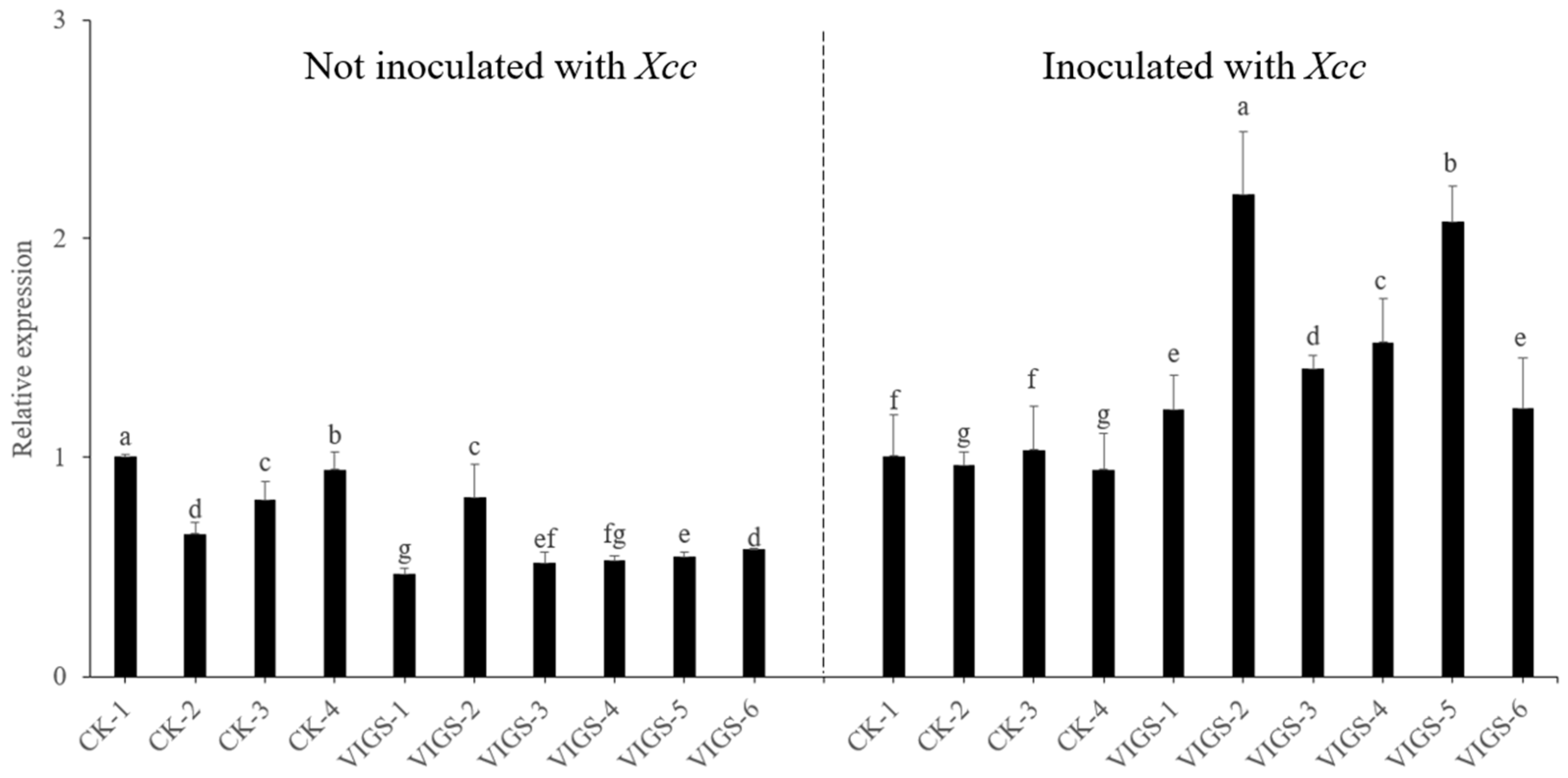 Horticulturae 10 00693 g010 Horticulturae 10 00693 g010