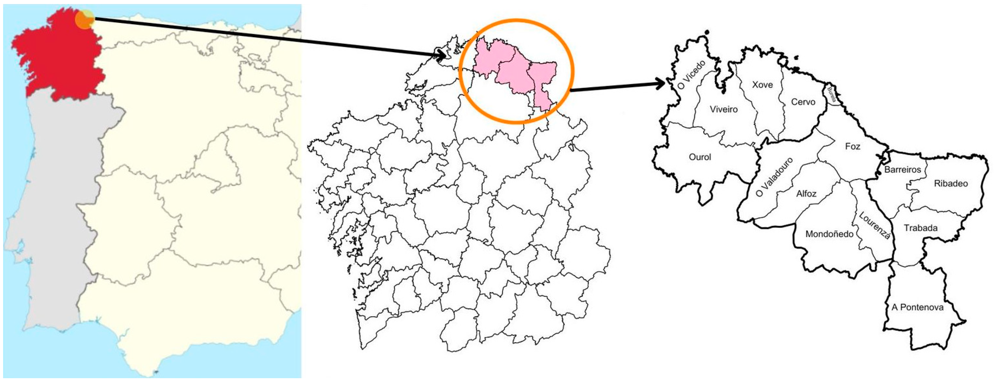 Horticulturae 10 00699 g001