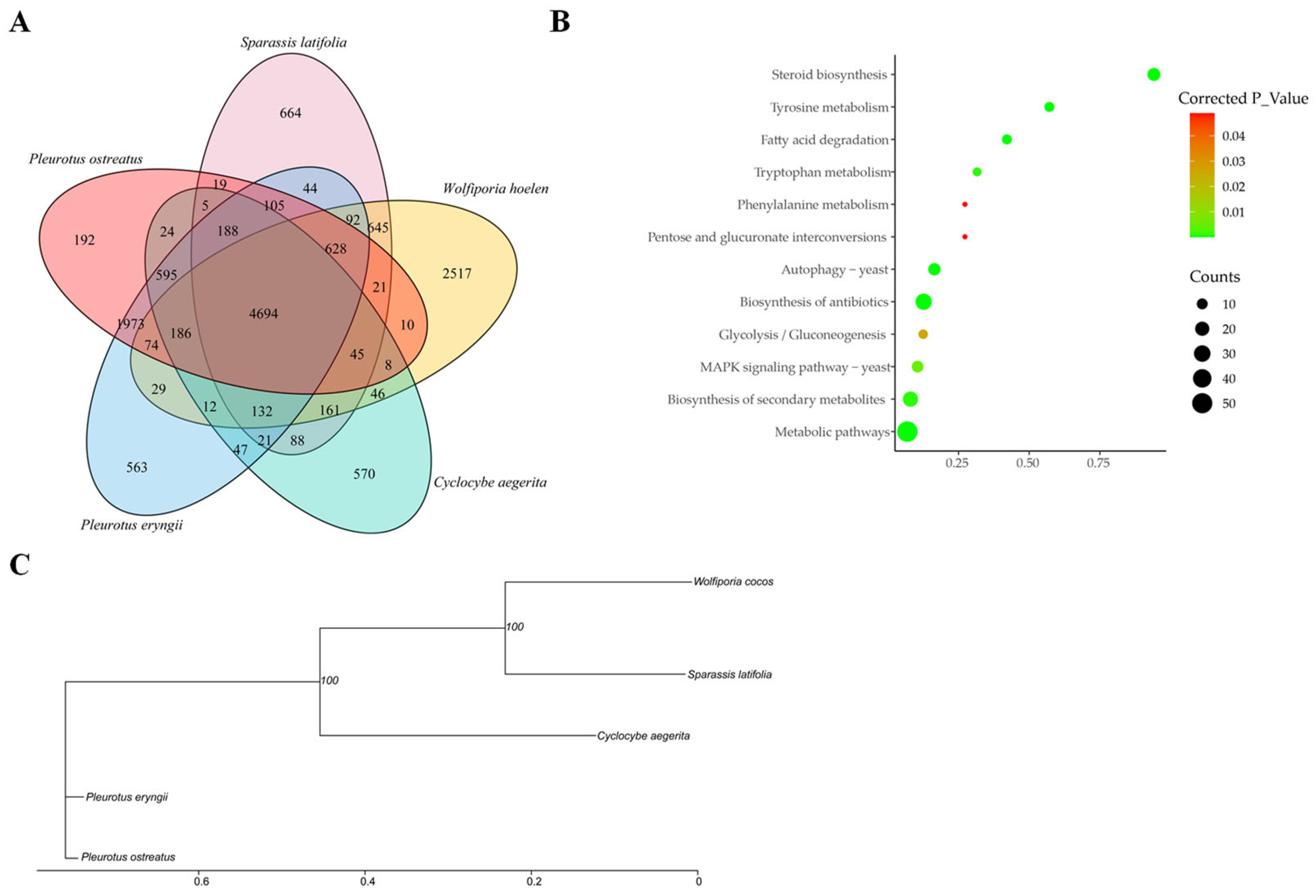Horticulturae 10 00703 g003