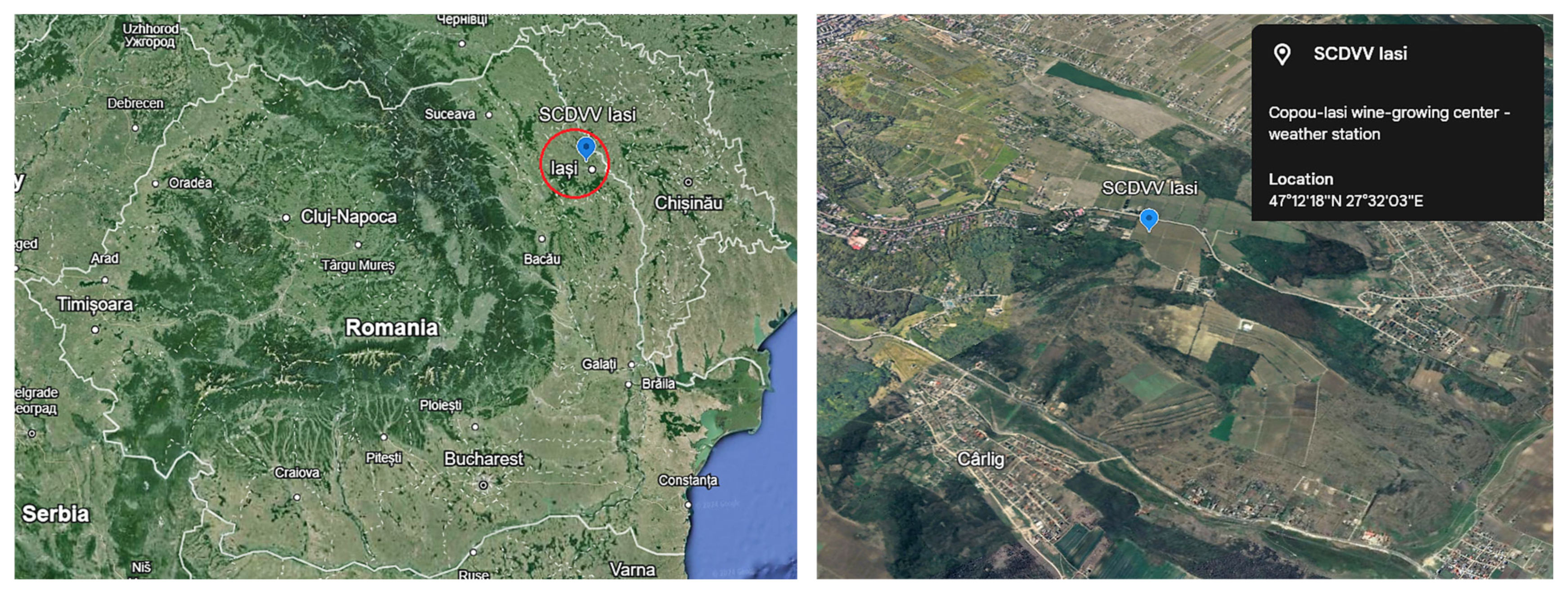 Horticulturae 10 00705 g001 Horticulturae 10 00705 g001