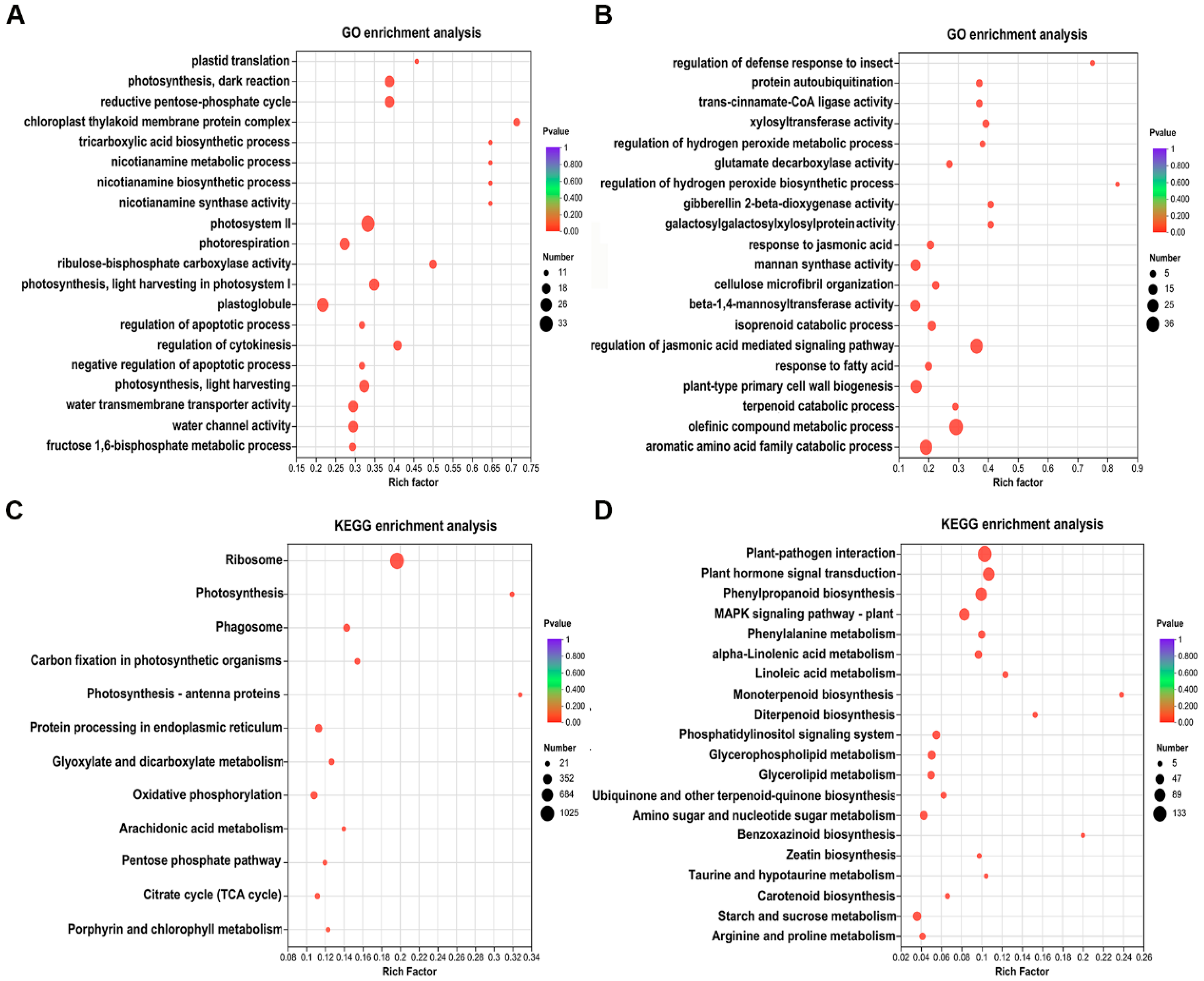 Horticulturae 10 00717 g004